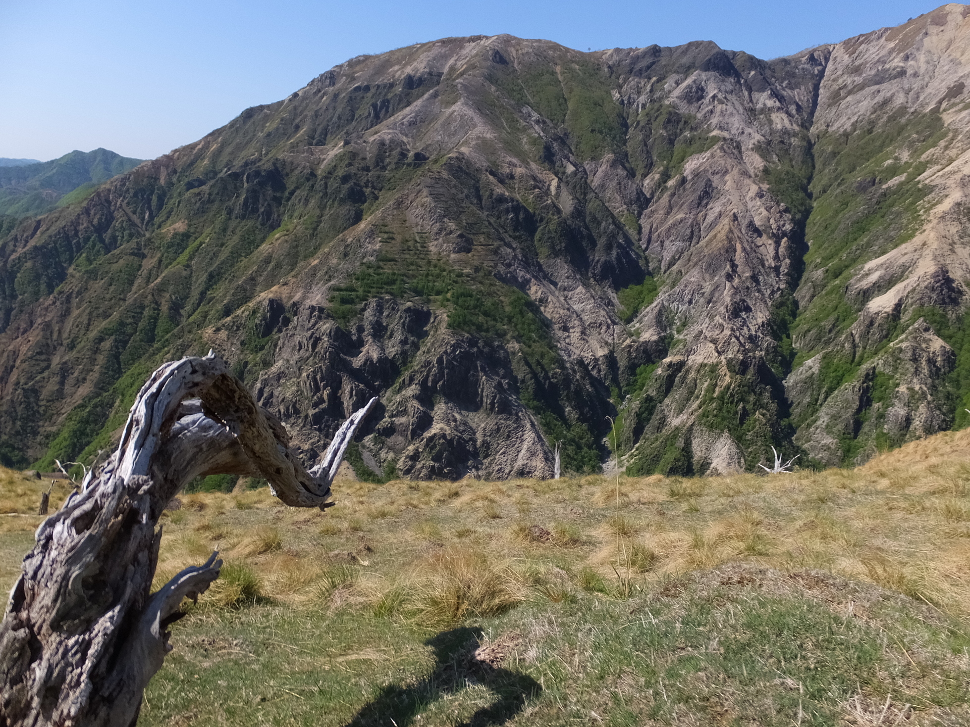 �R�����L