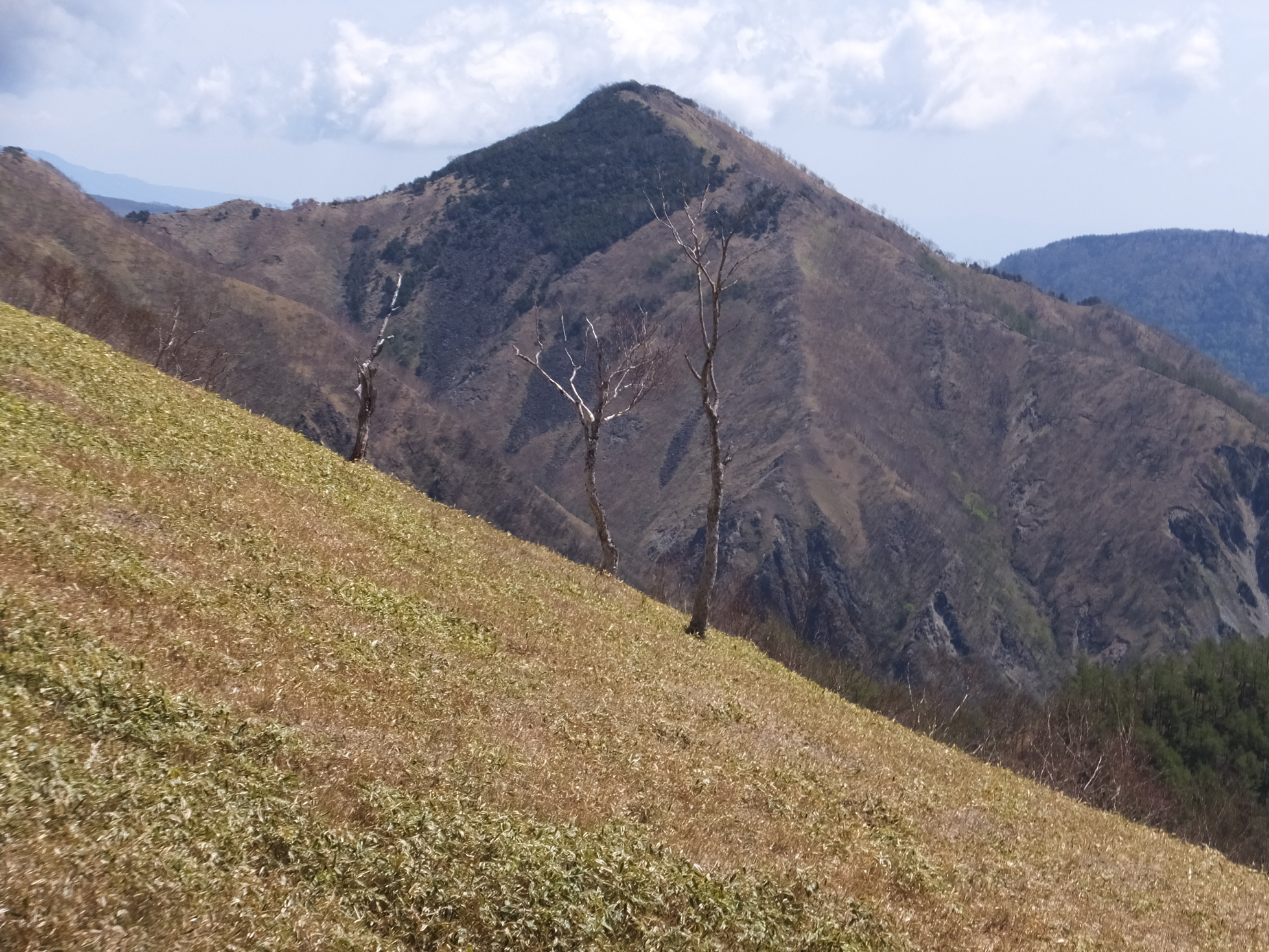 �R�����L