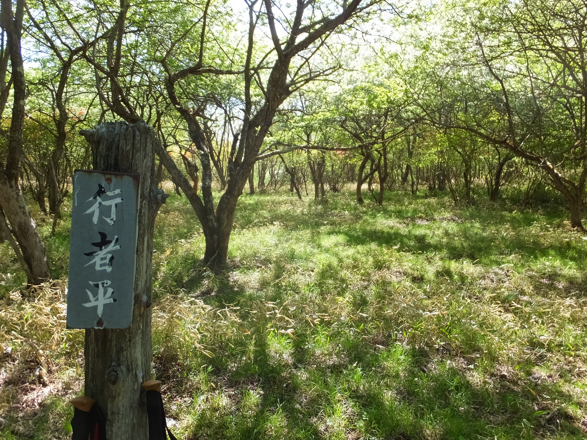 �R�����L