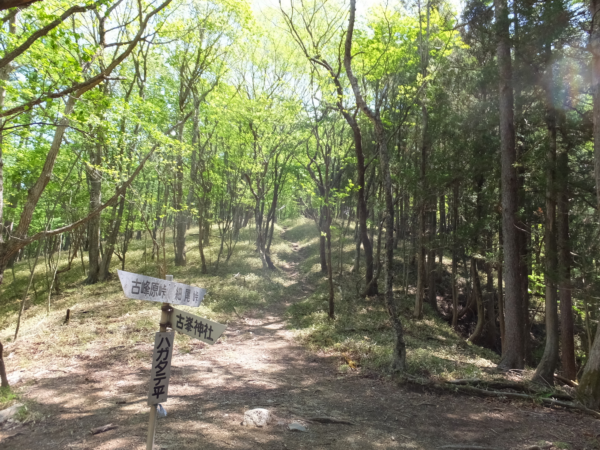 �R�����L