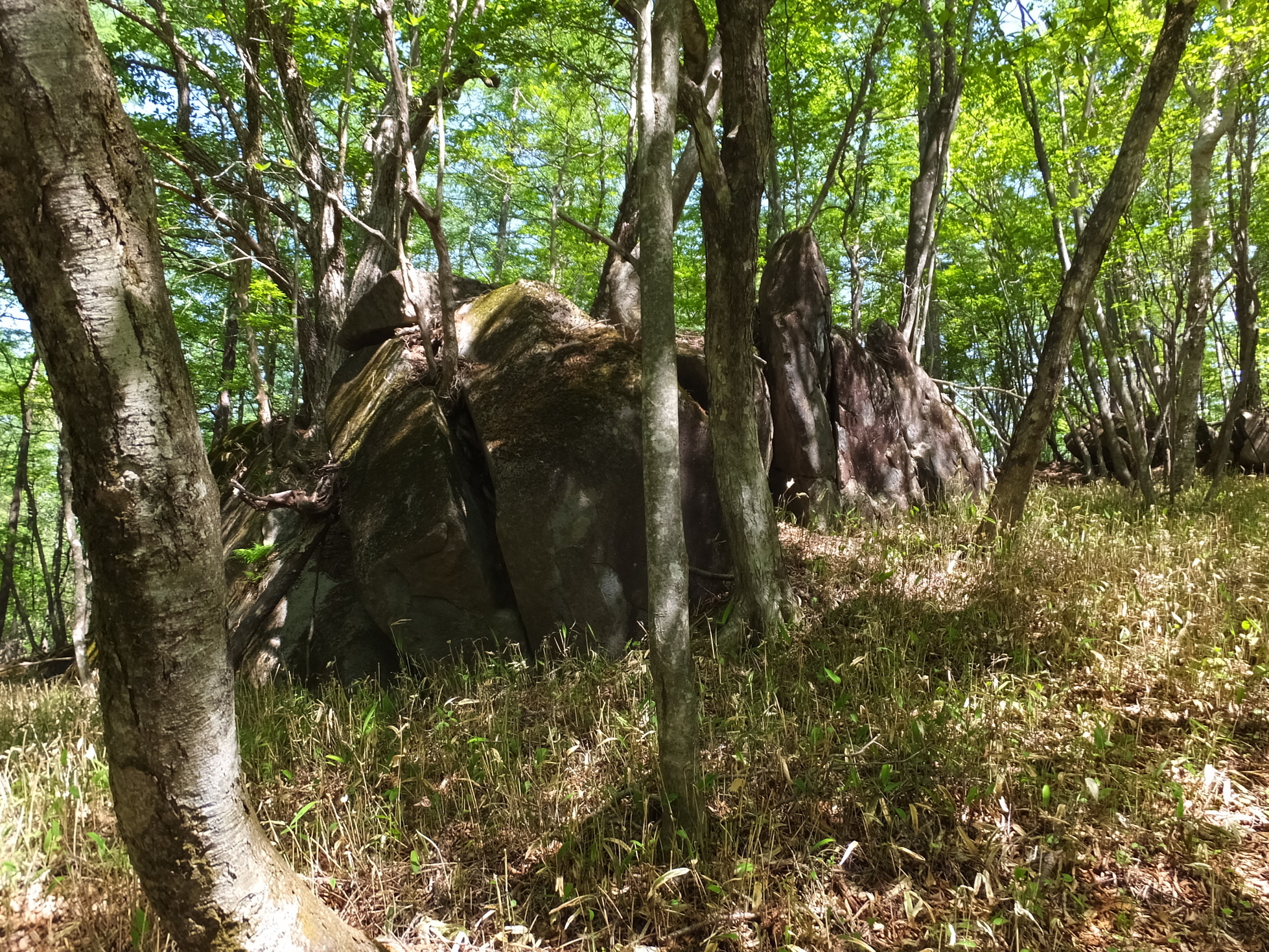 �R�����L