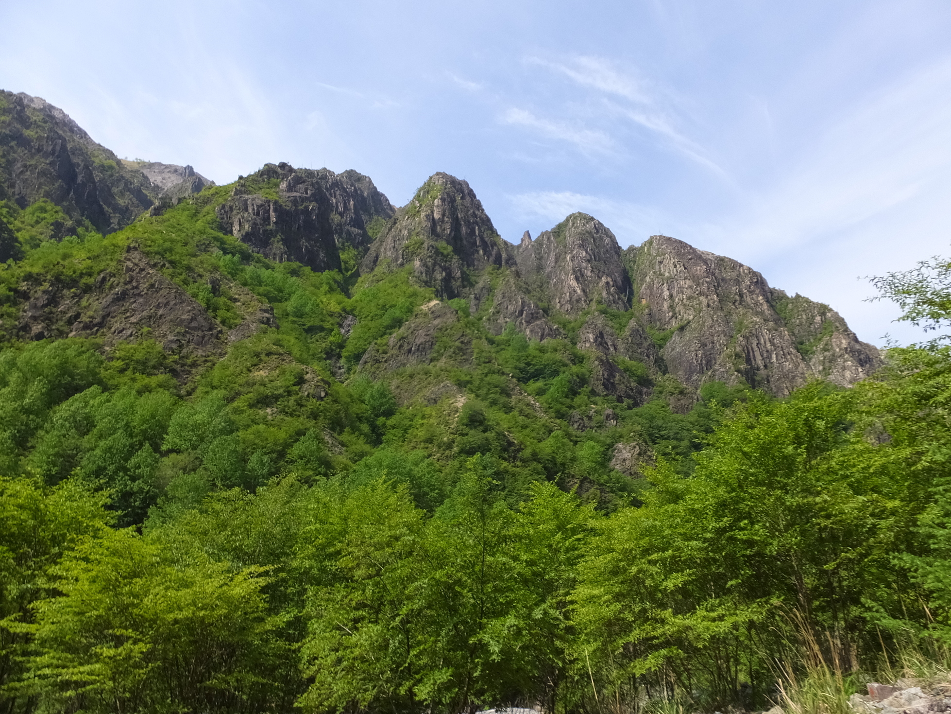 �R�����L