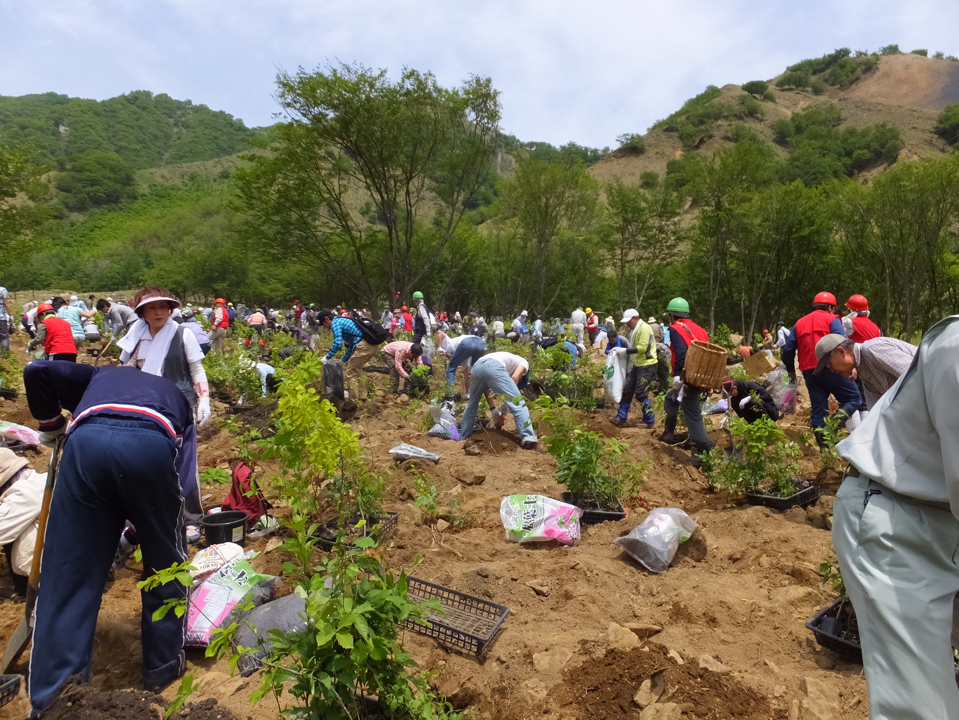 �R�����L