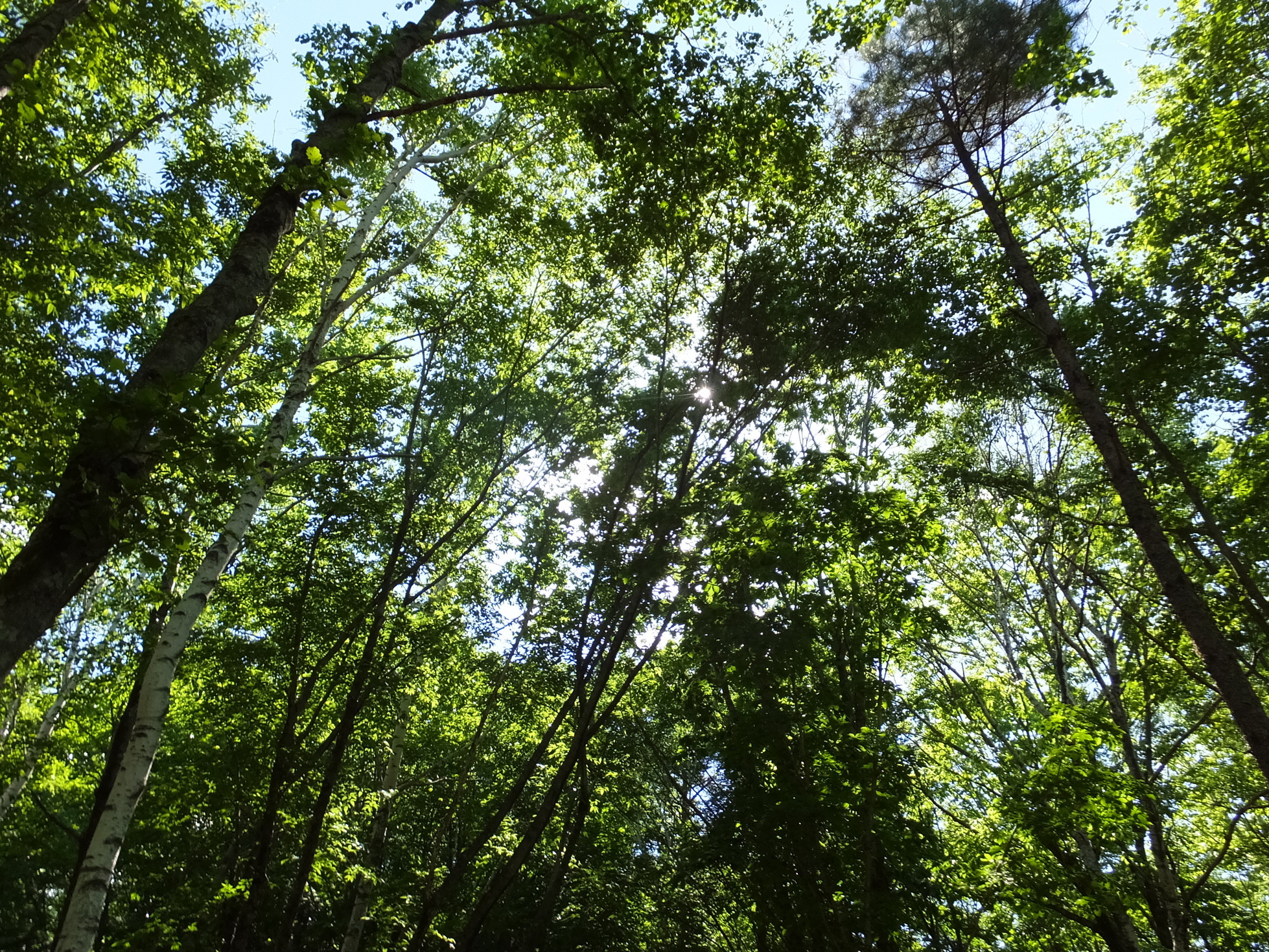 �R�����L