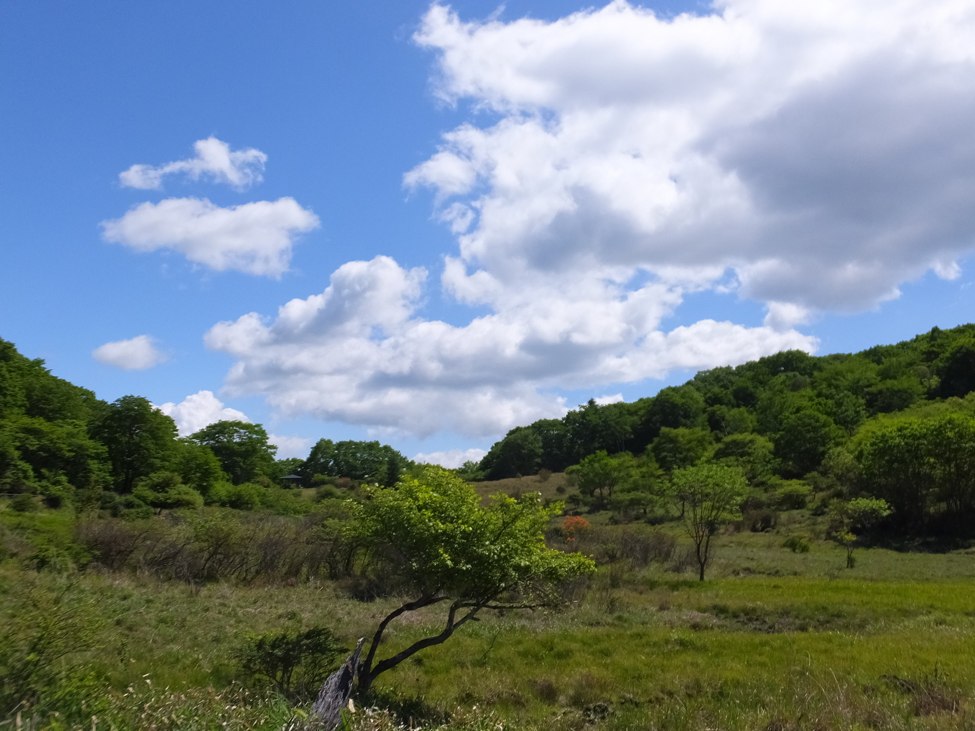 �R�����L