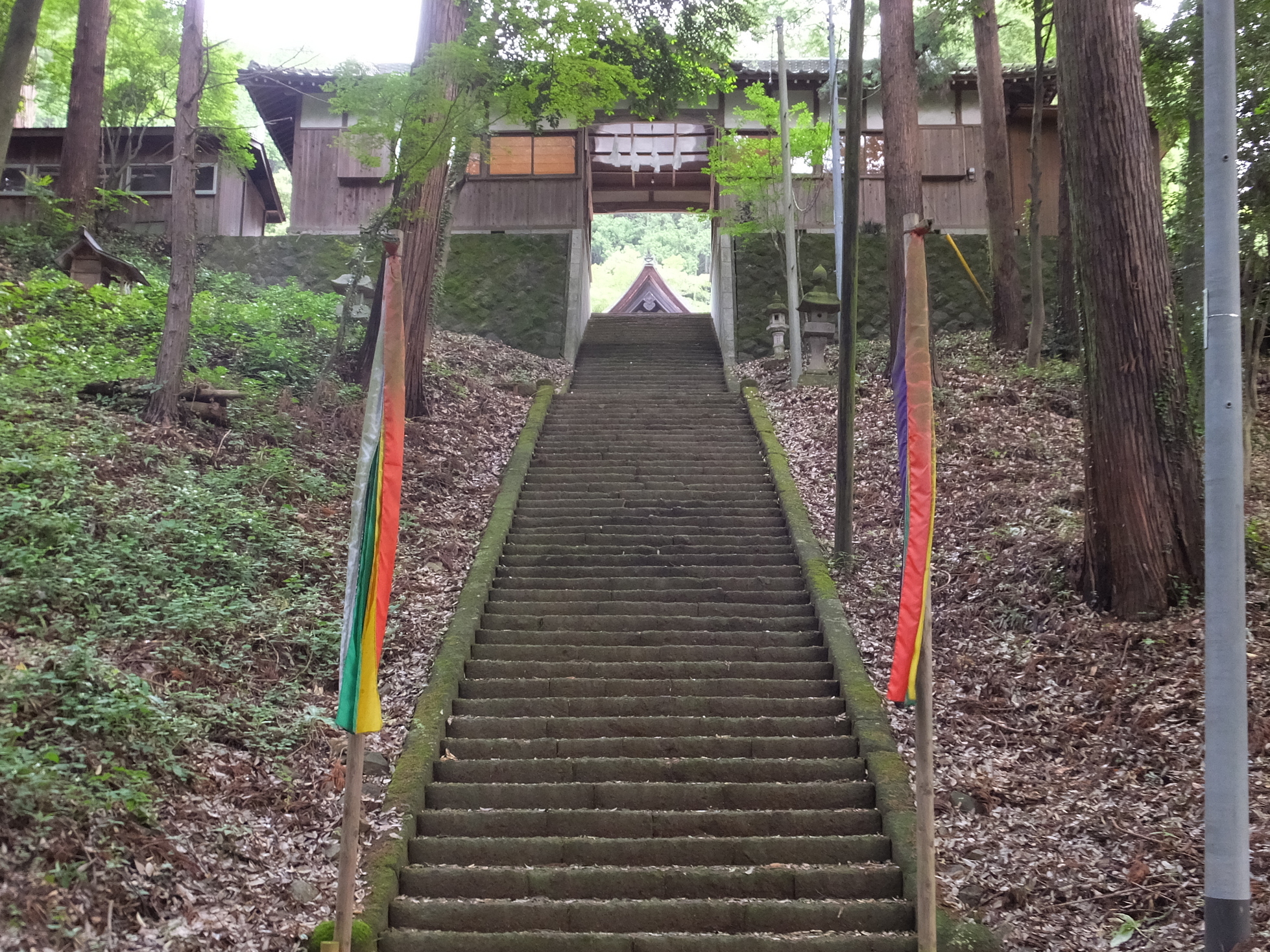 �R�����L