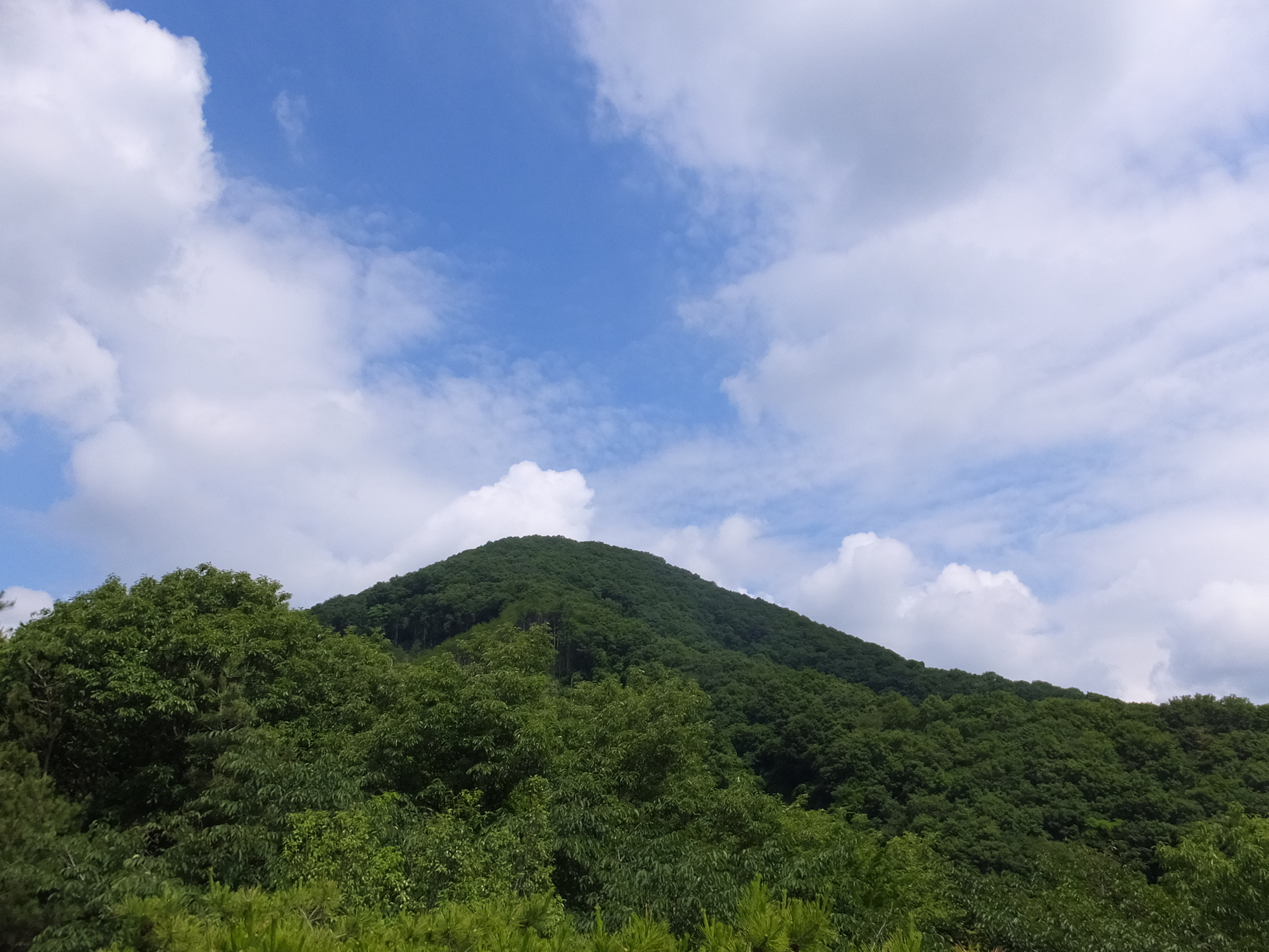 �R�����L