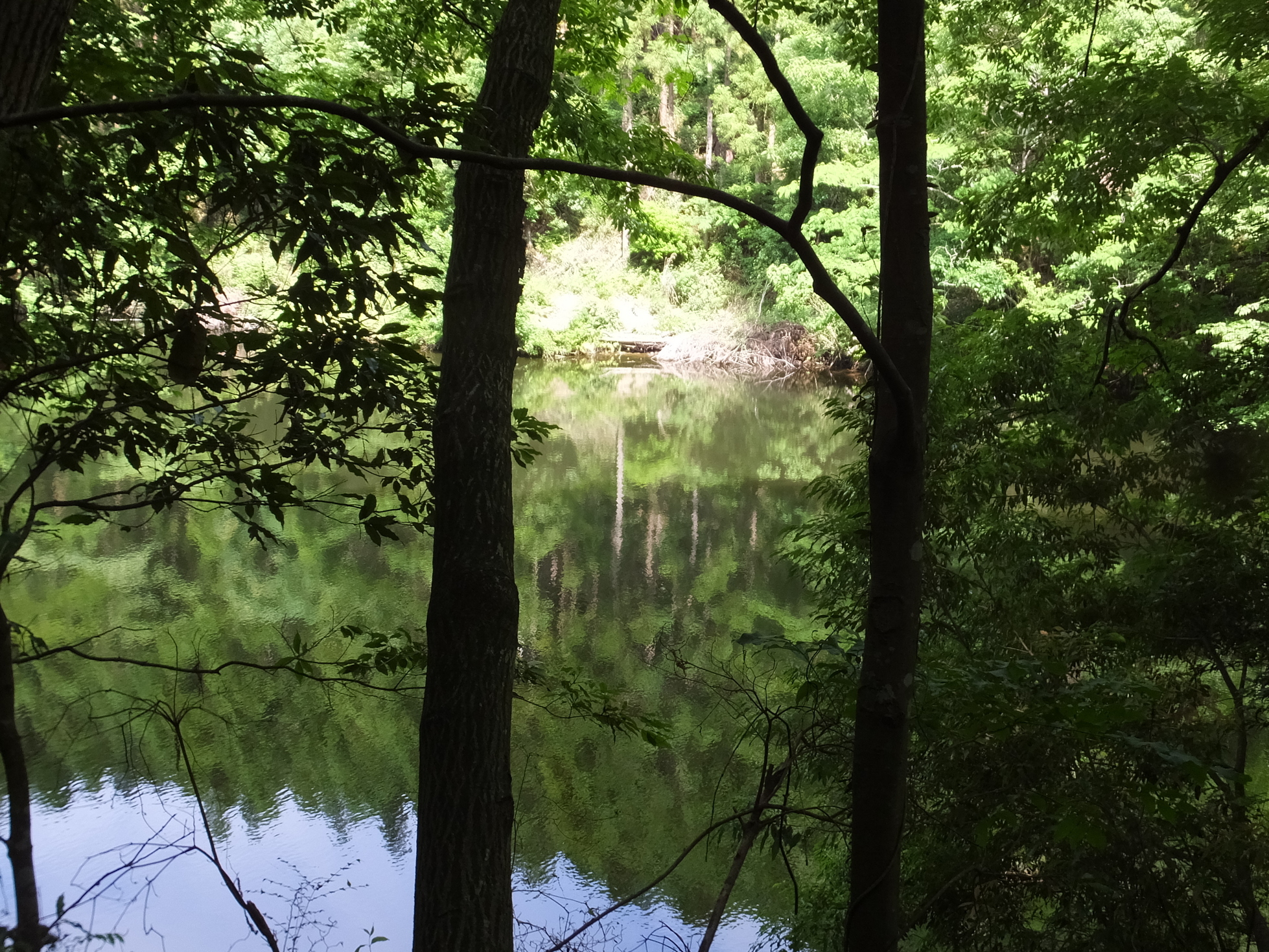 �R�����L