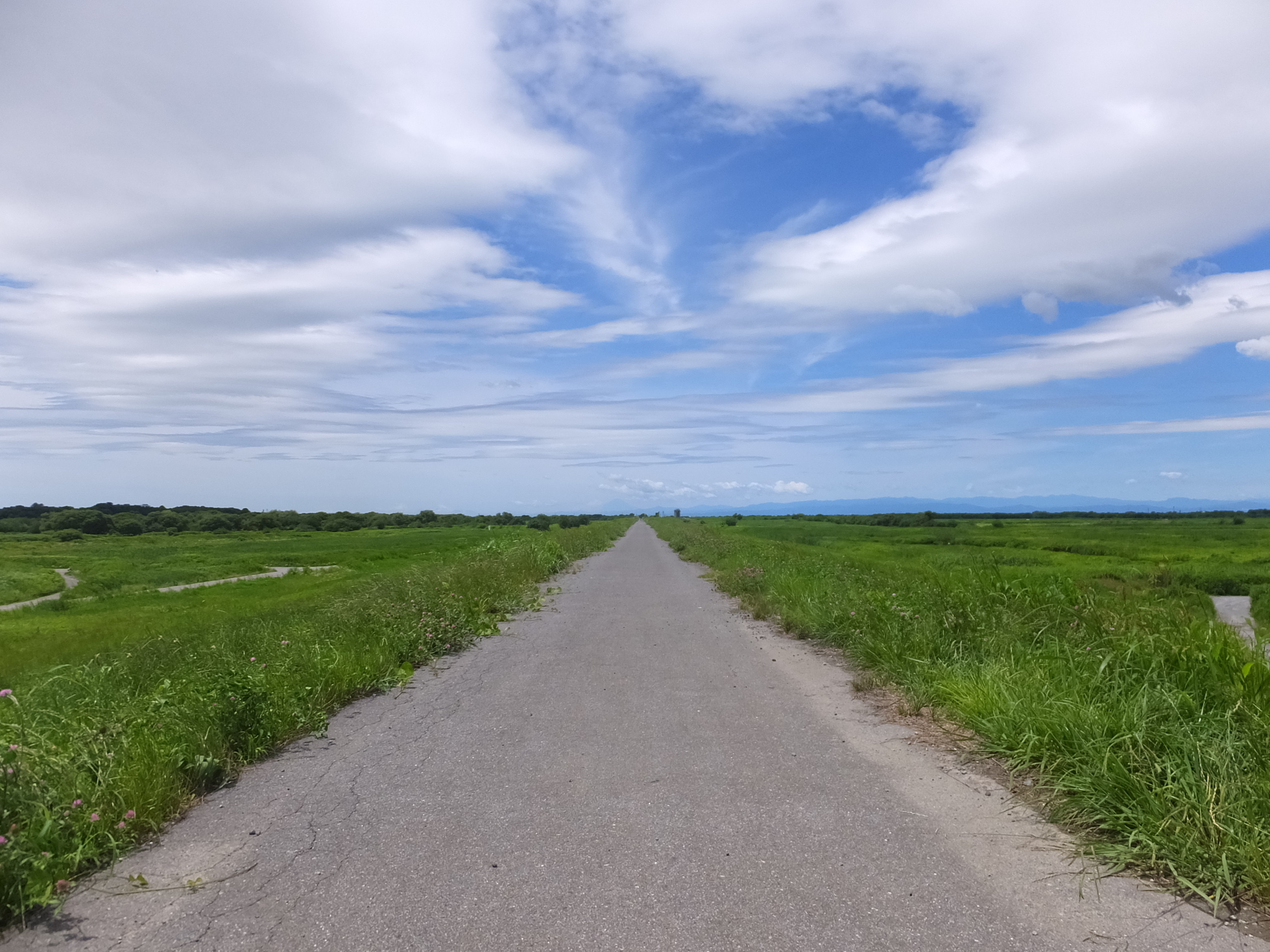 �R�����L