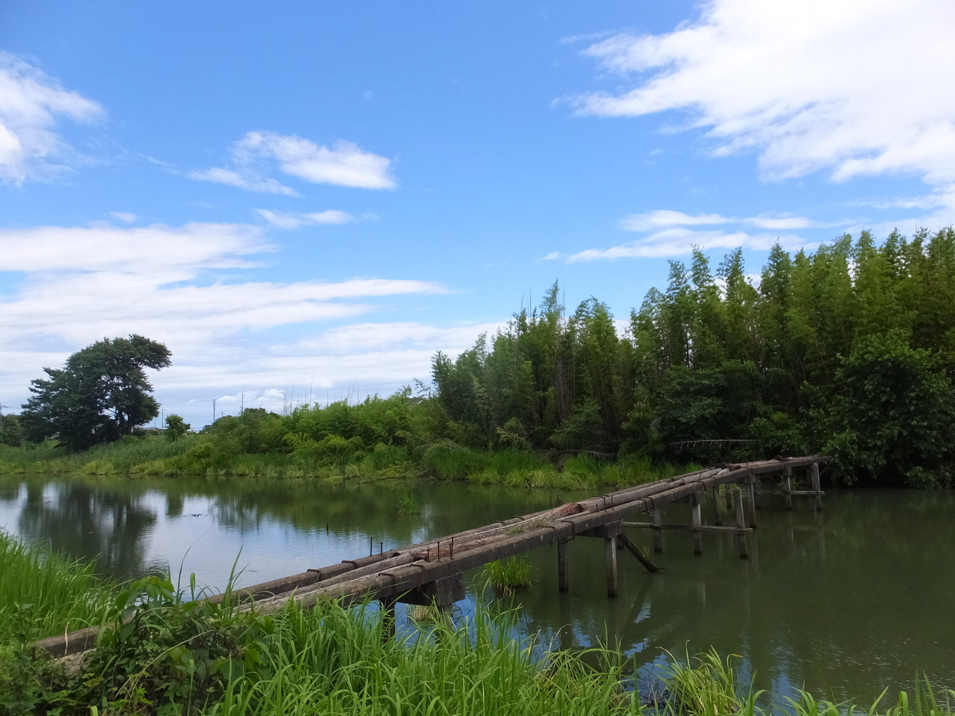 �R�����L