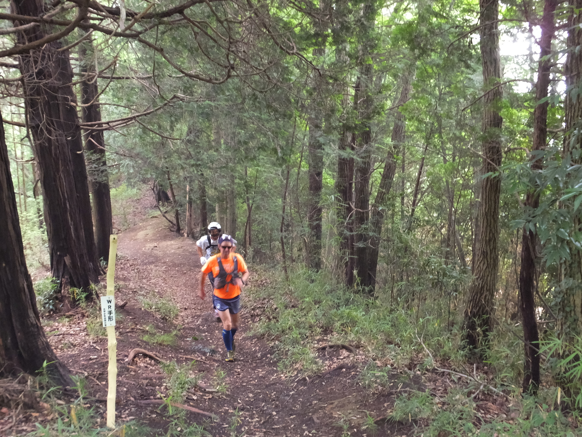 �R�����L