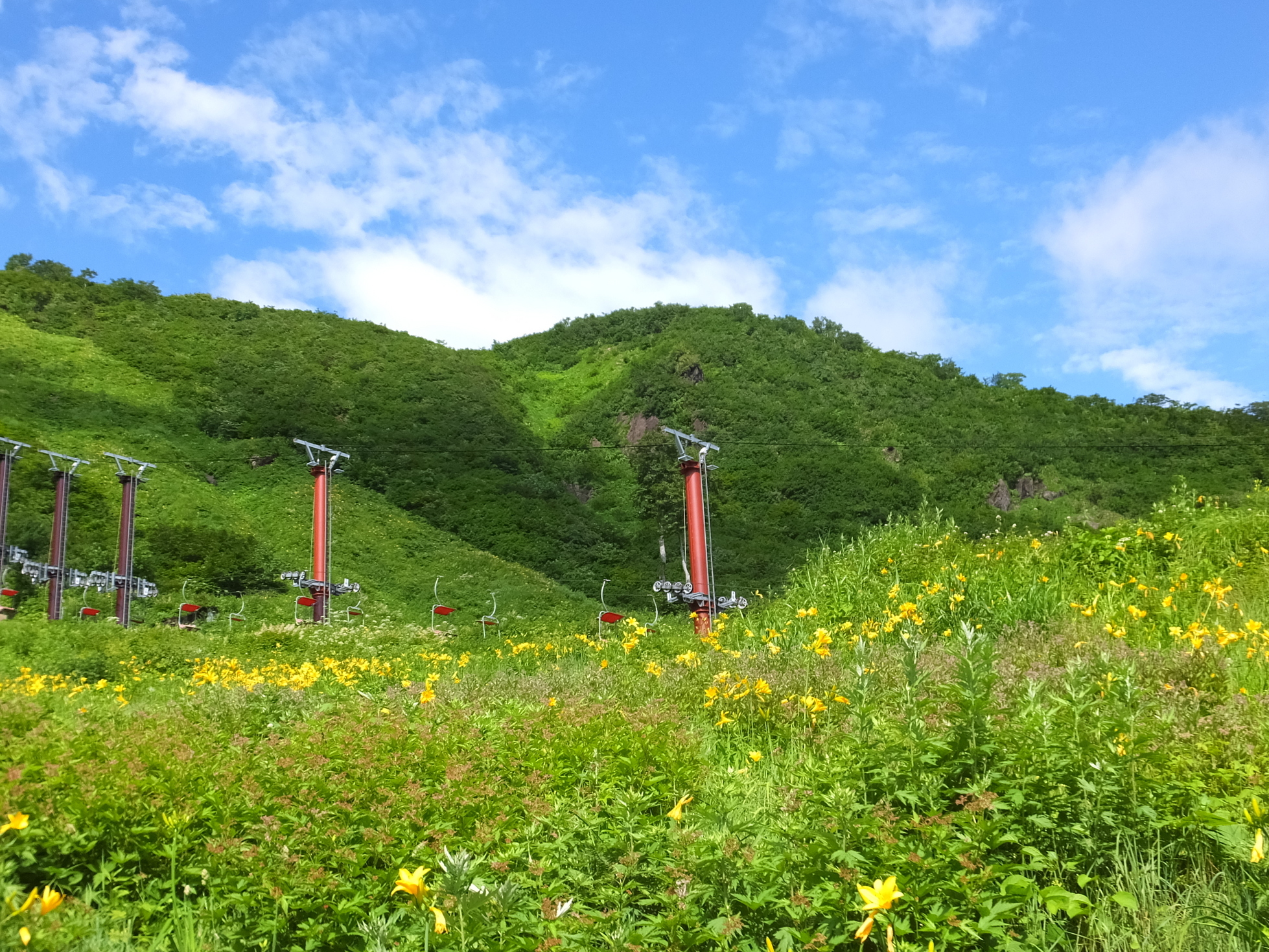 �R�����L