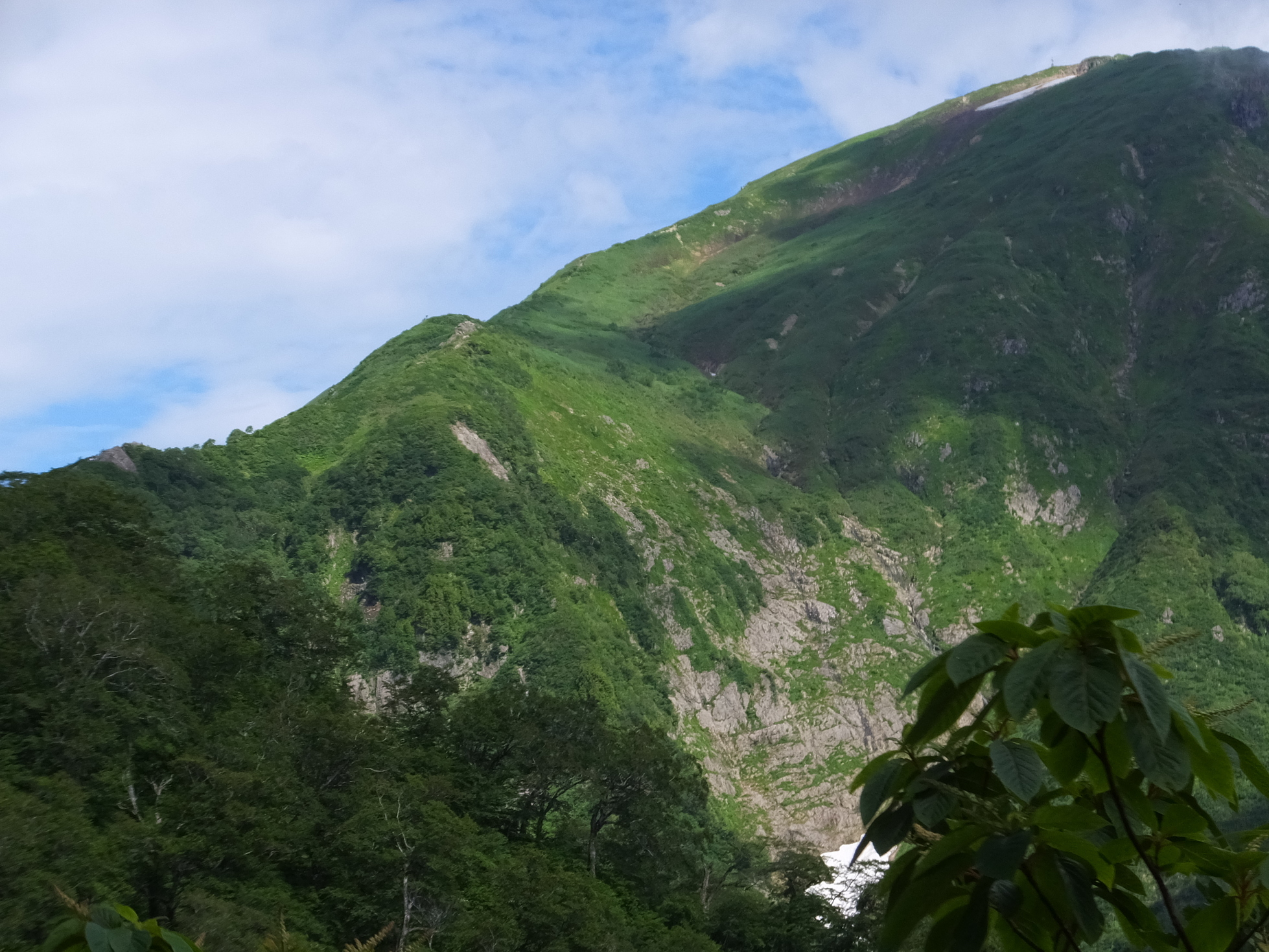 �R�����L