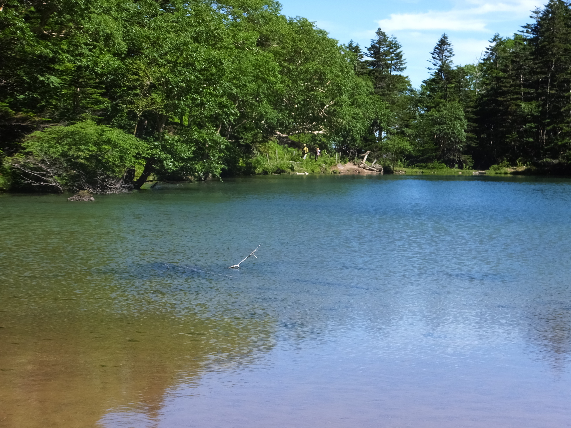 �R�����L