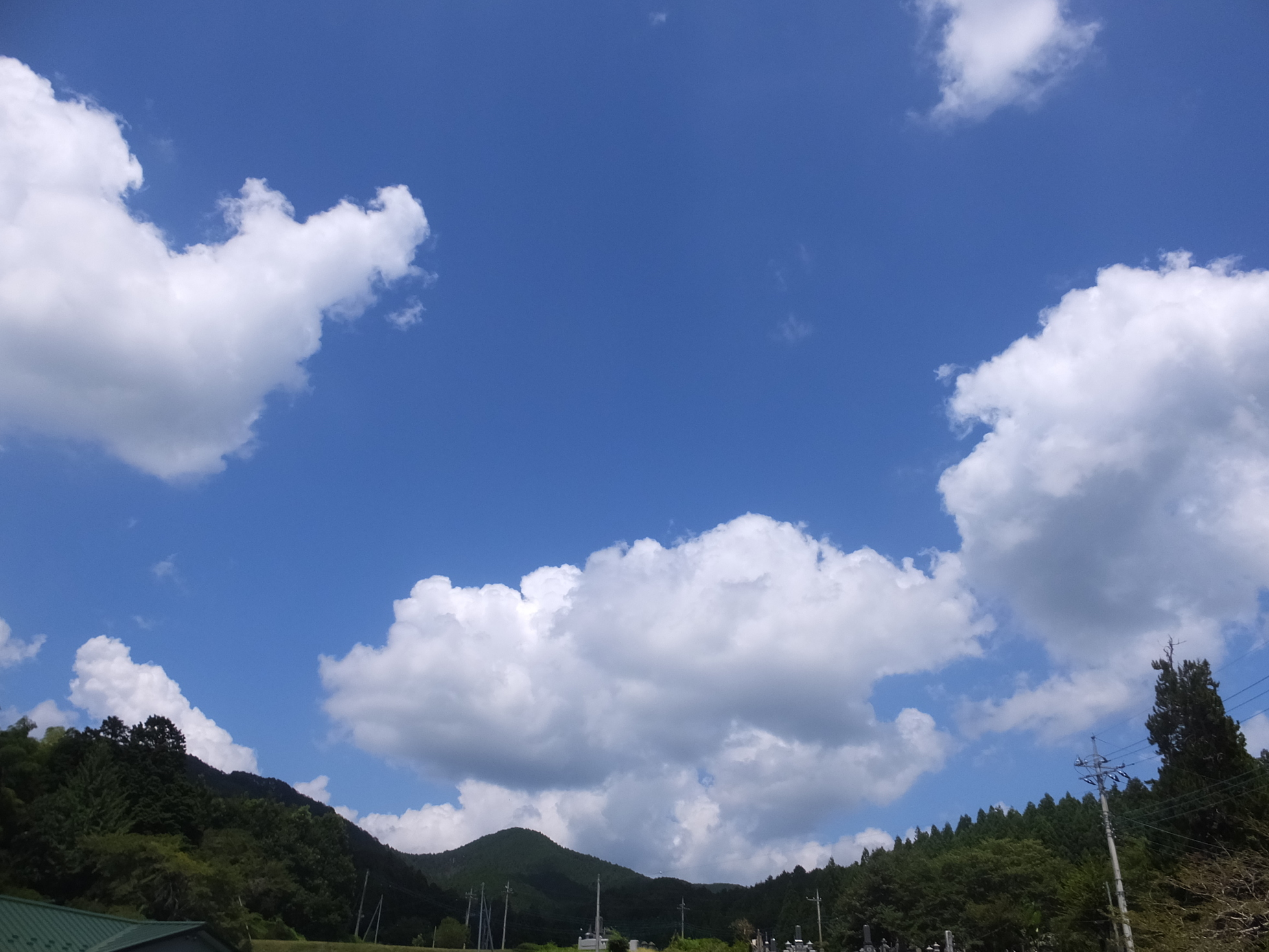 �R�����L