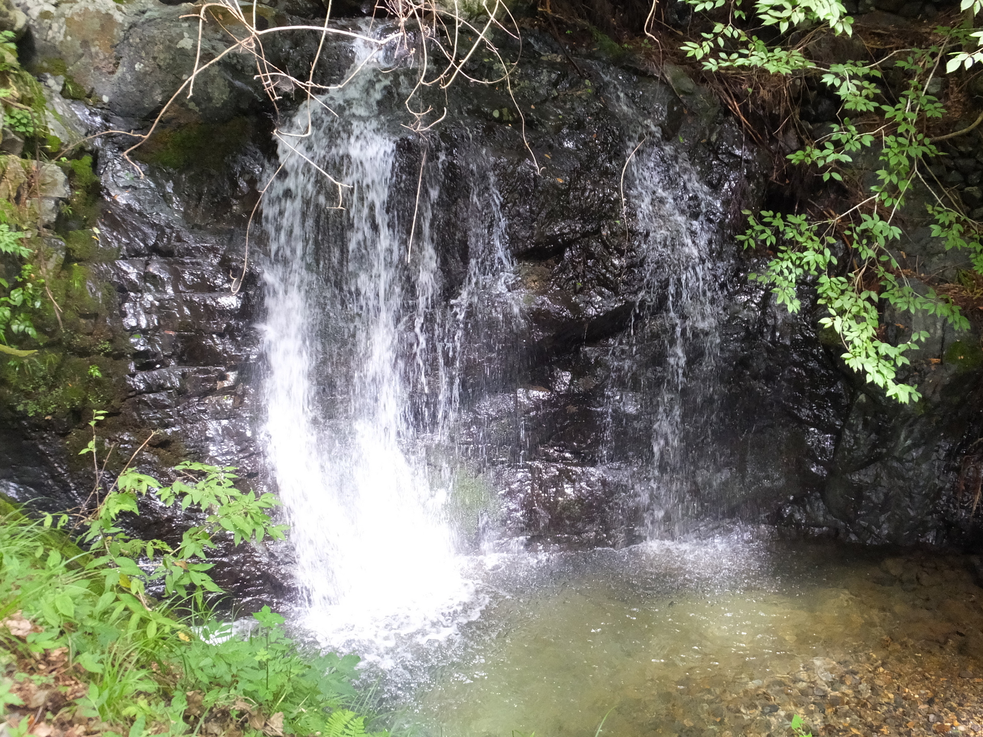 �R�����L