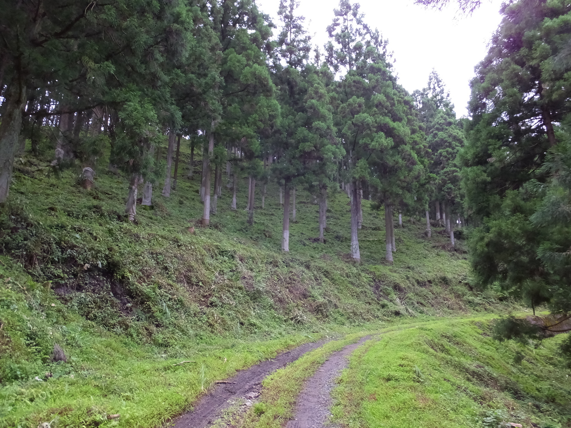 �R�����L