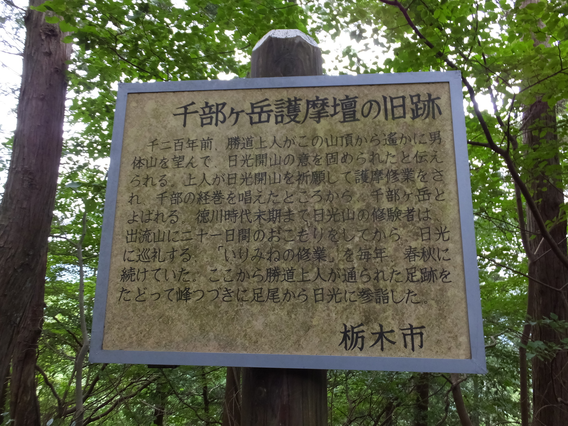 �R�����L