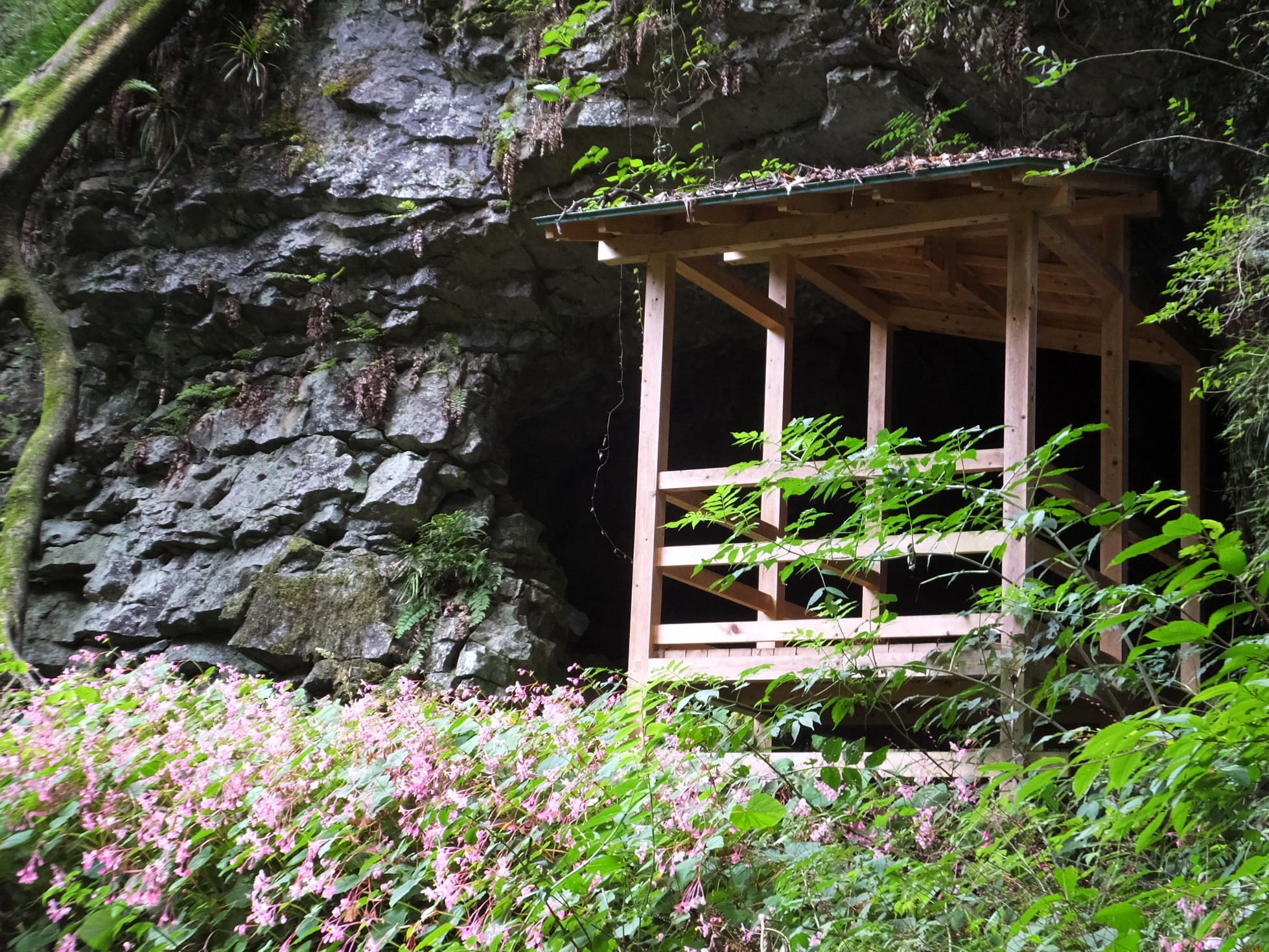 �R�����L