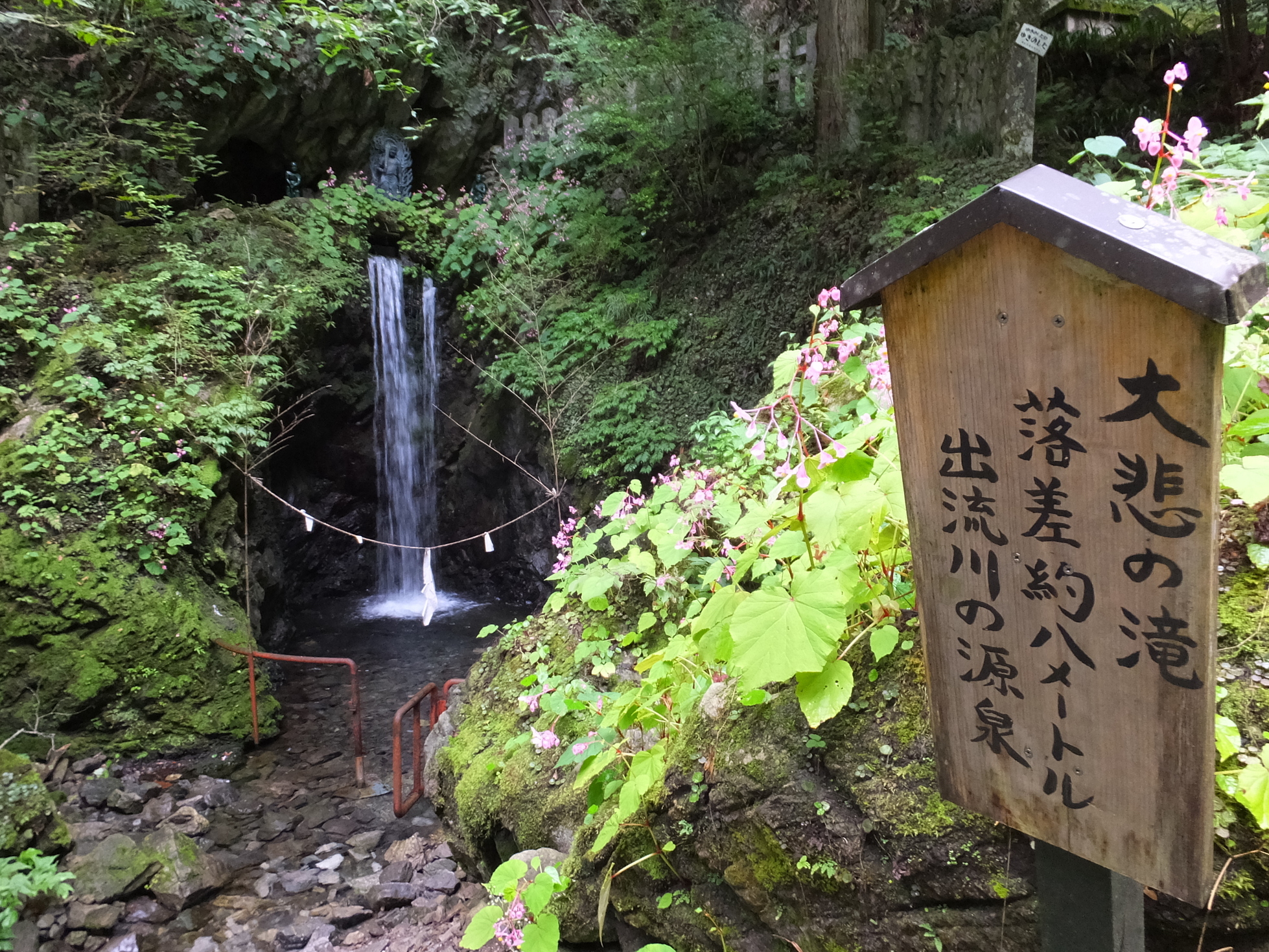 �R�����L