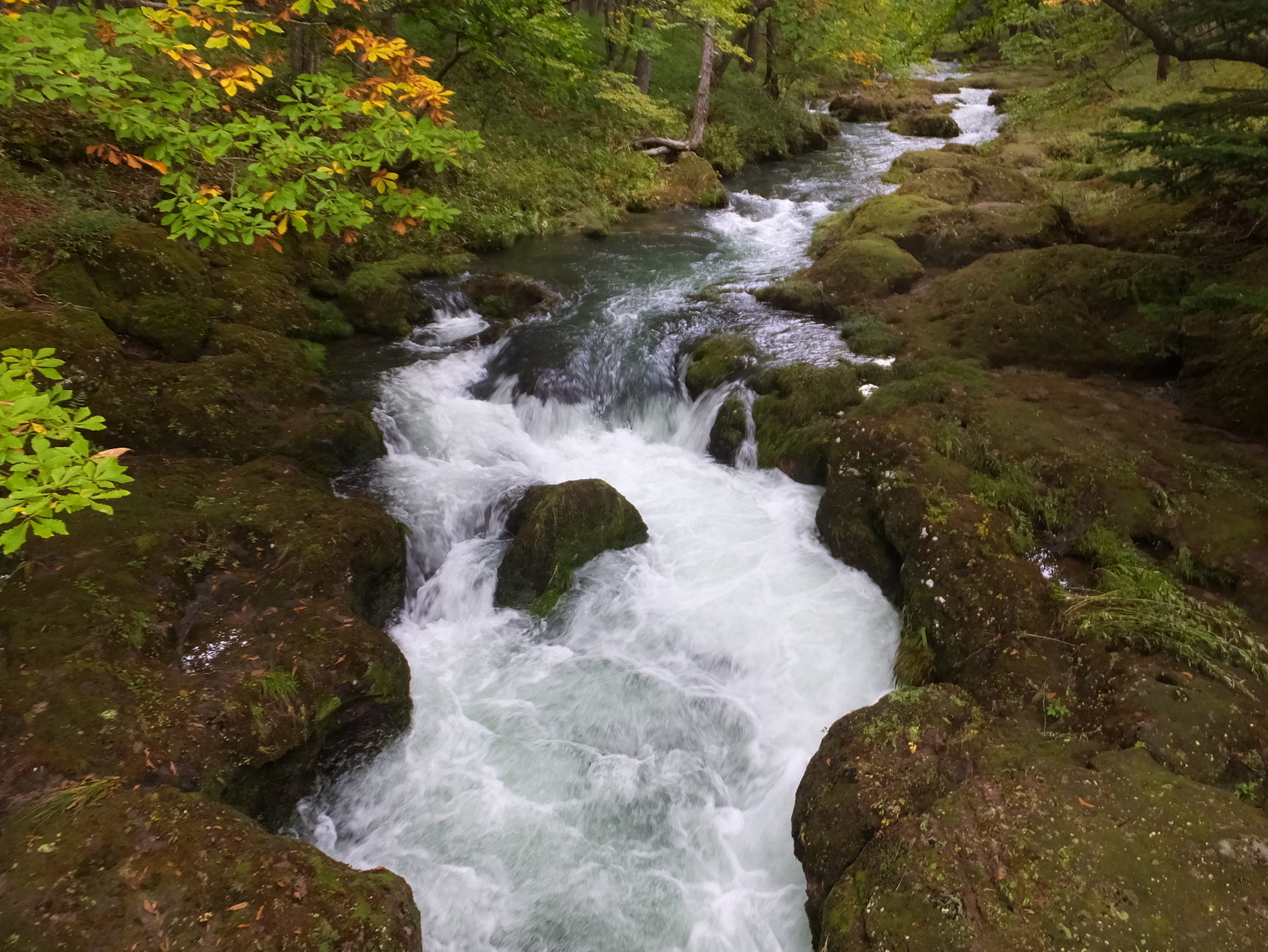 �R�����L