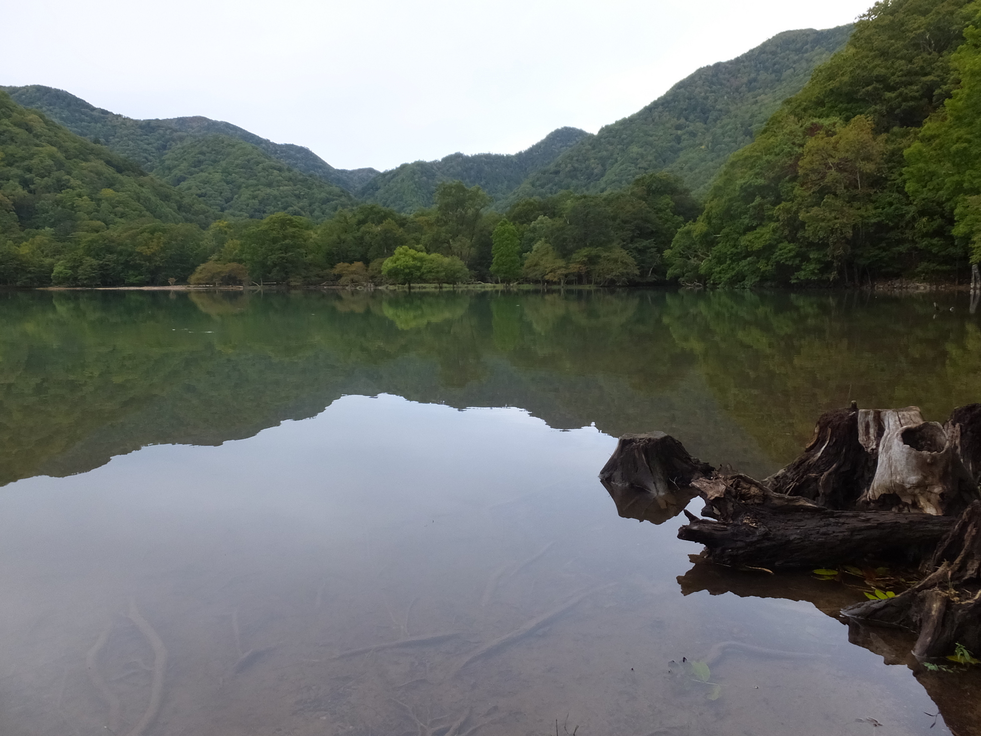 �R�����L