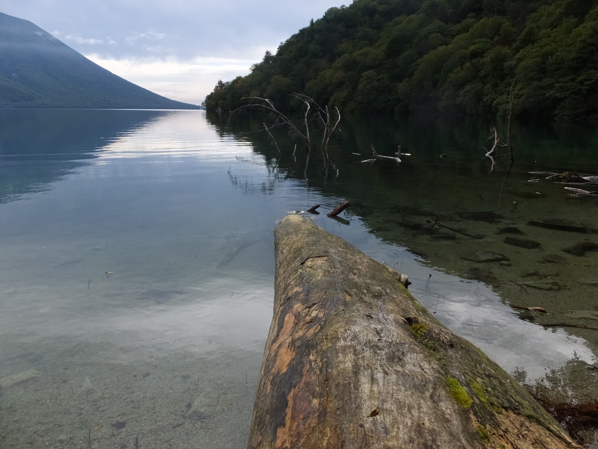 �R�����L