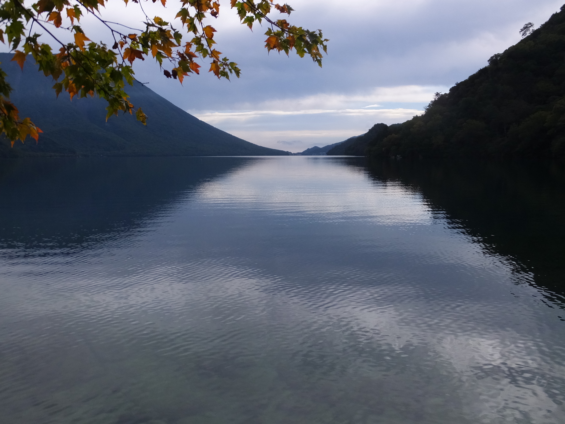 �R�����L