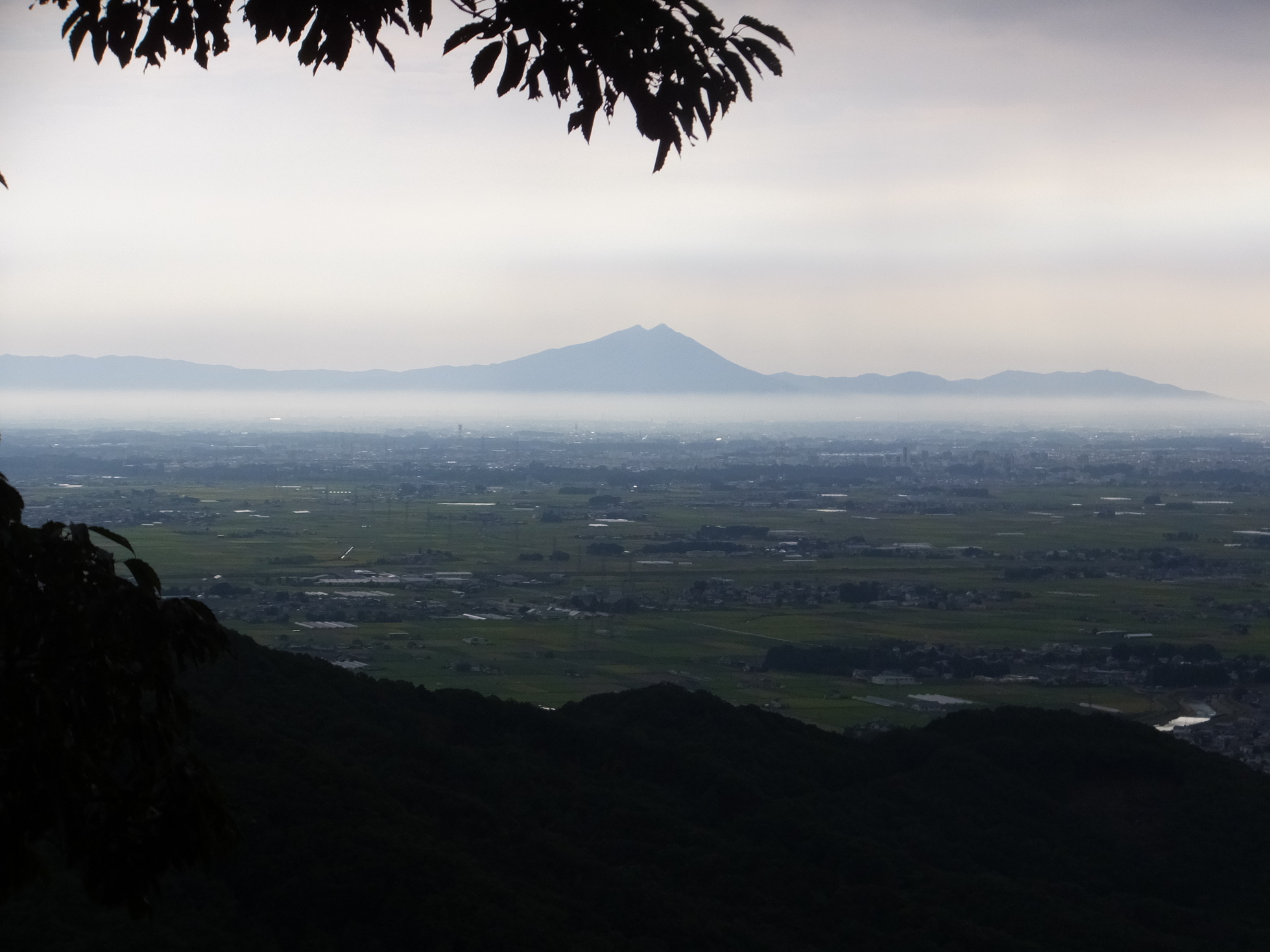 �R�����L