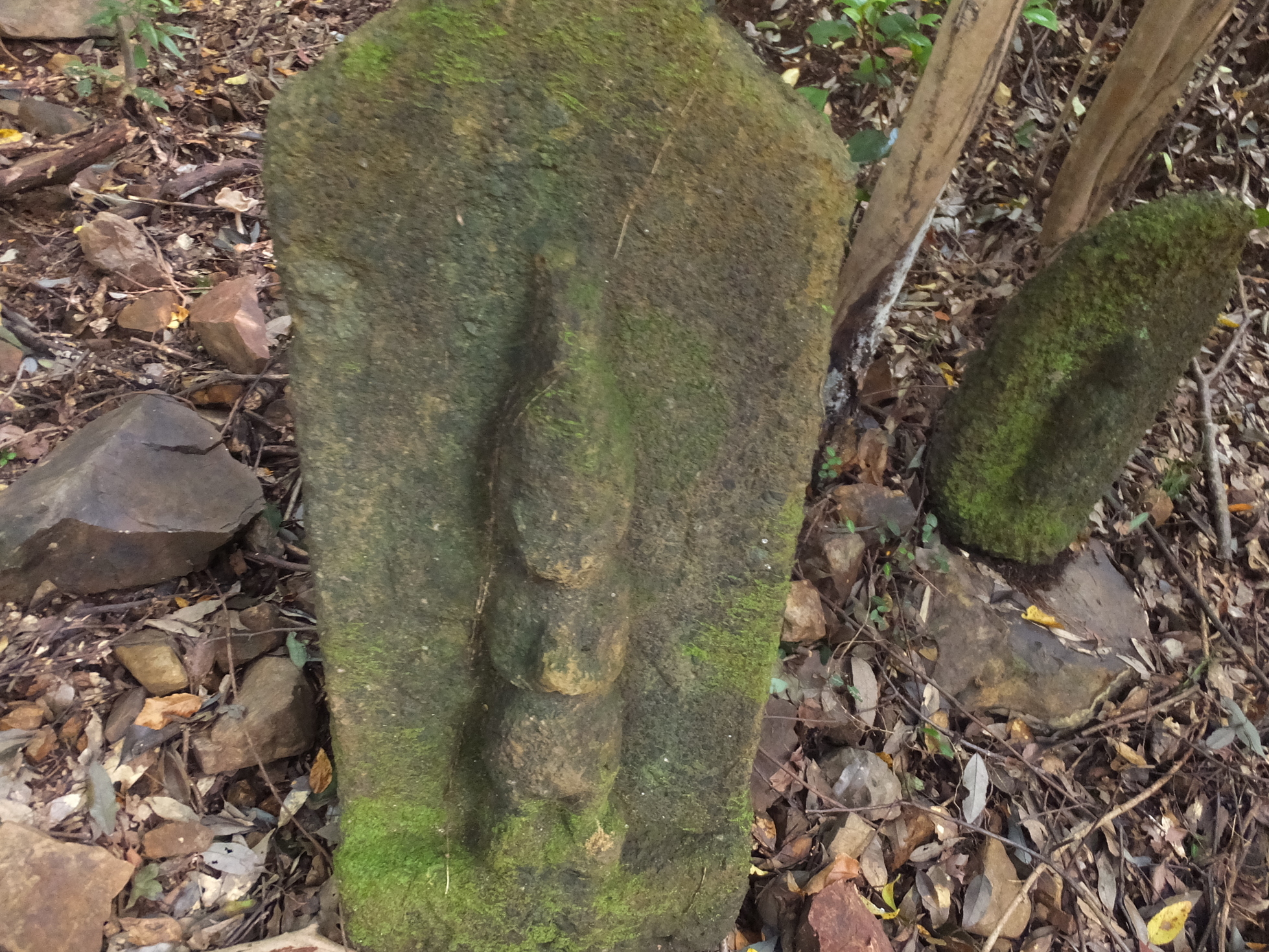 �R�����L