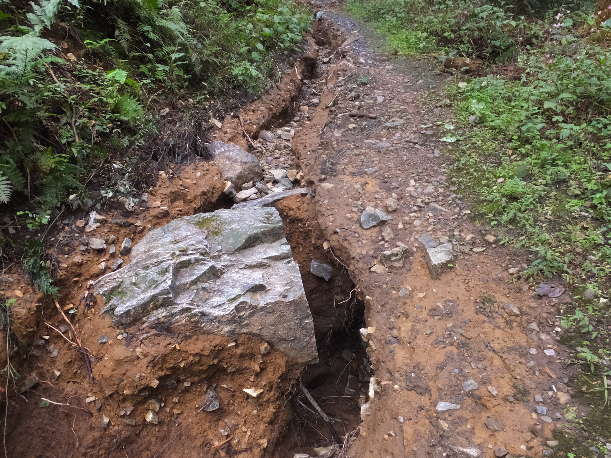 �R�����L