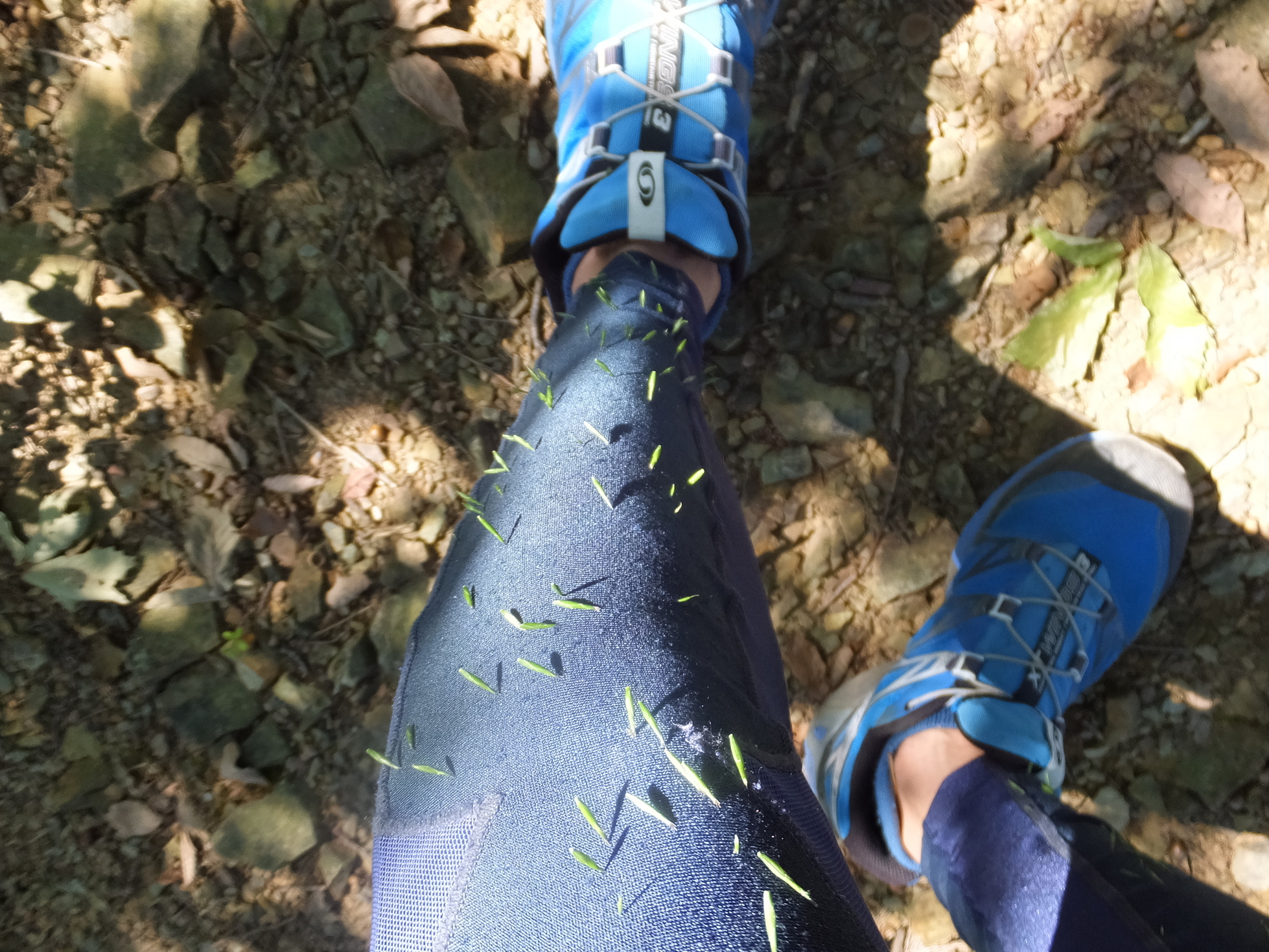 �R�����L