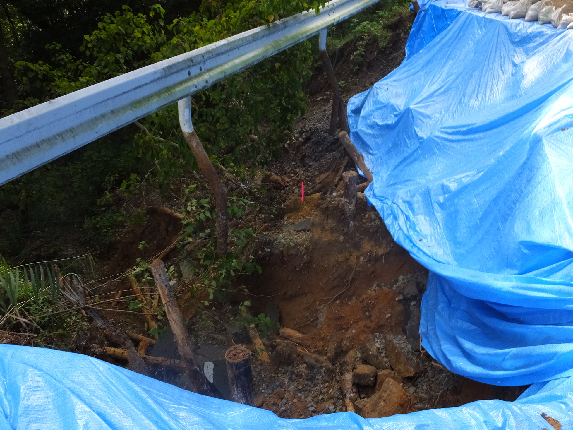 �R�����L