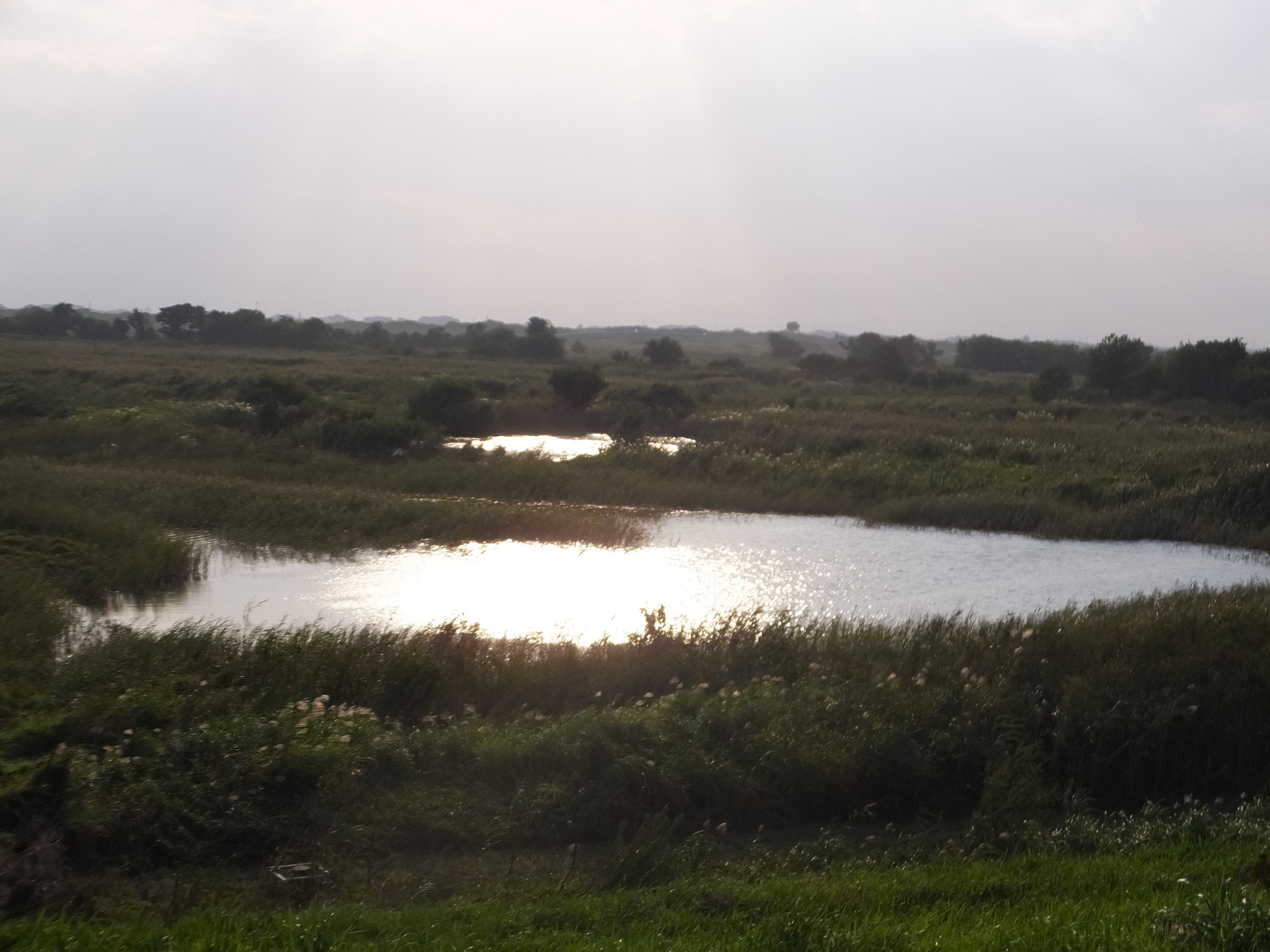 �R�����L