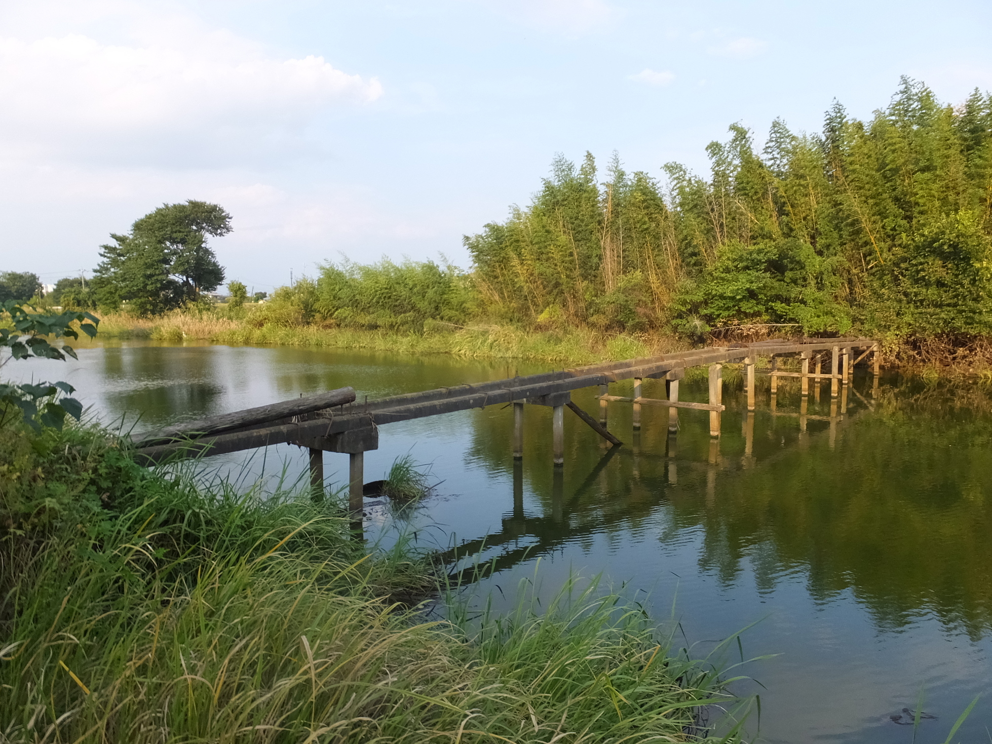 �R�����L