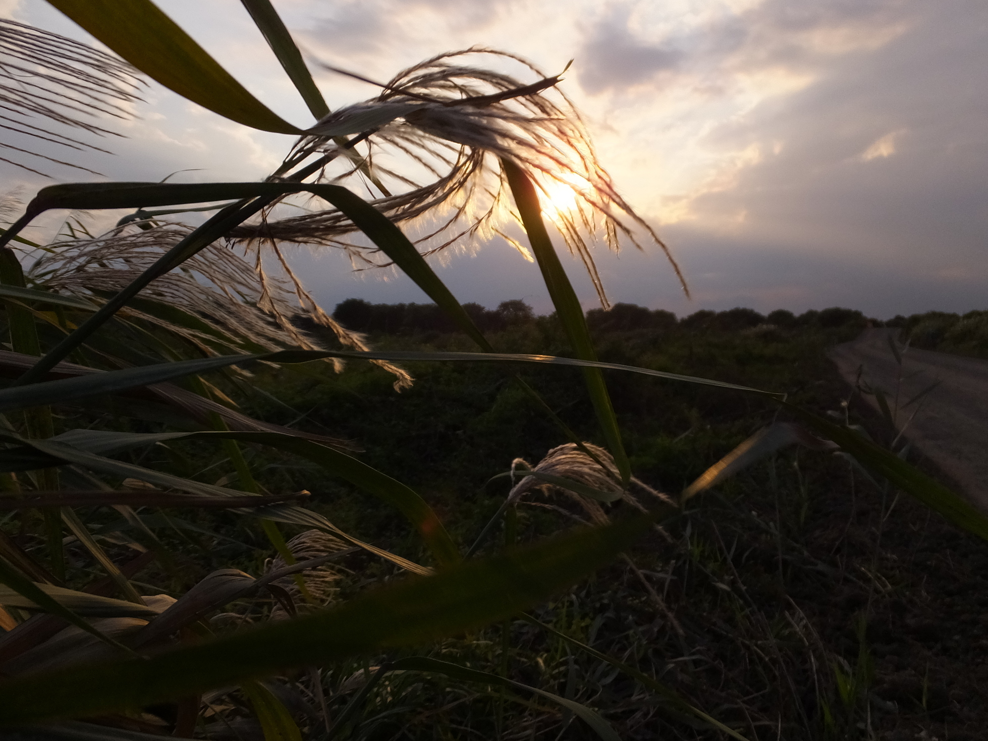 �R�����L