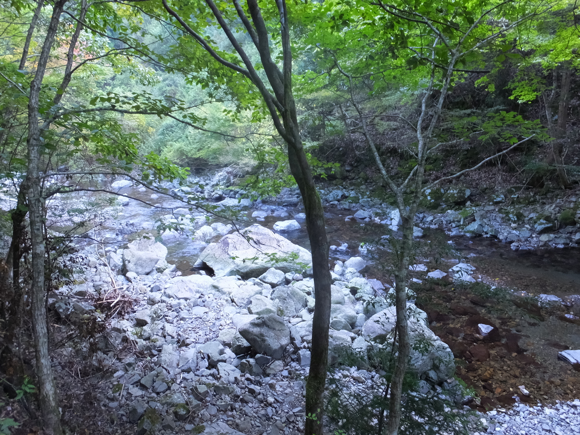 �R�����L