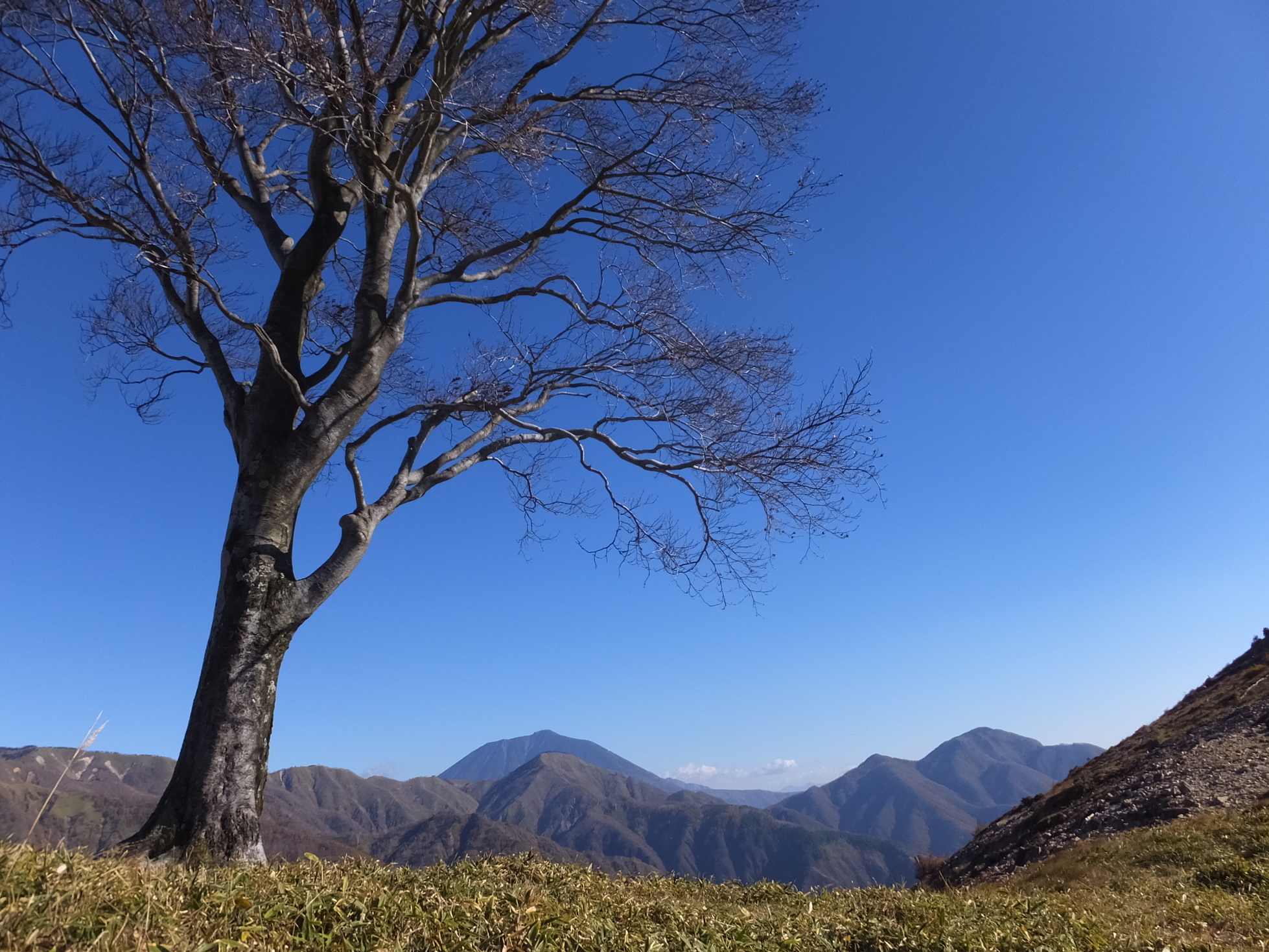 �R�����L