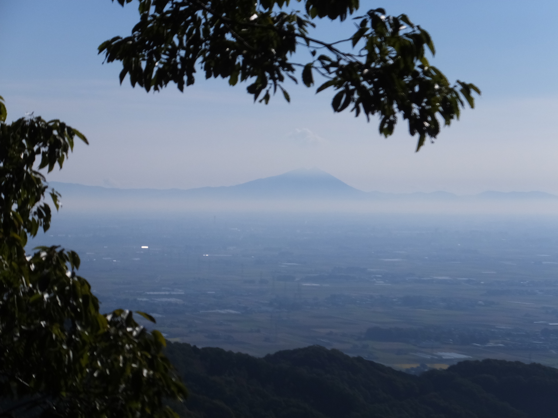 �R�����L