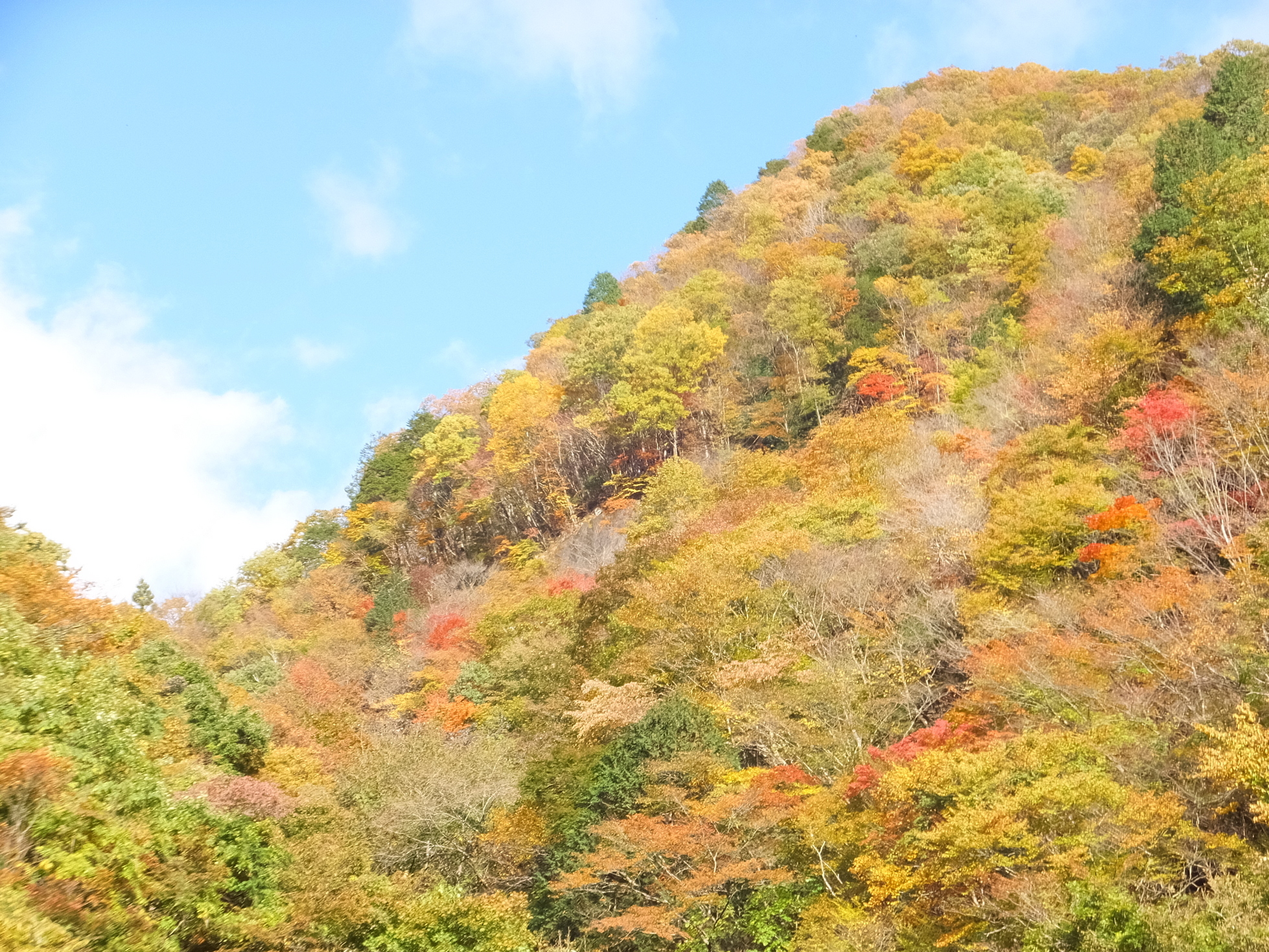 �R�����L