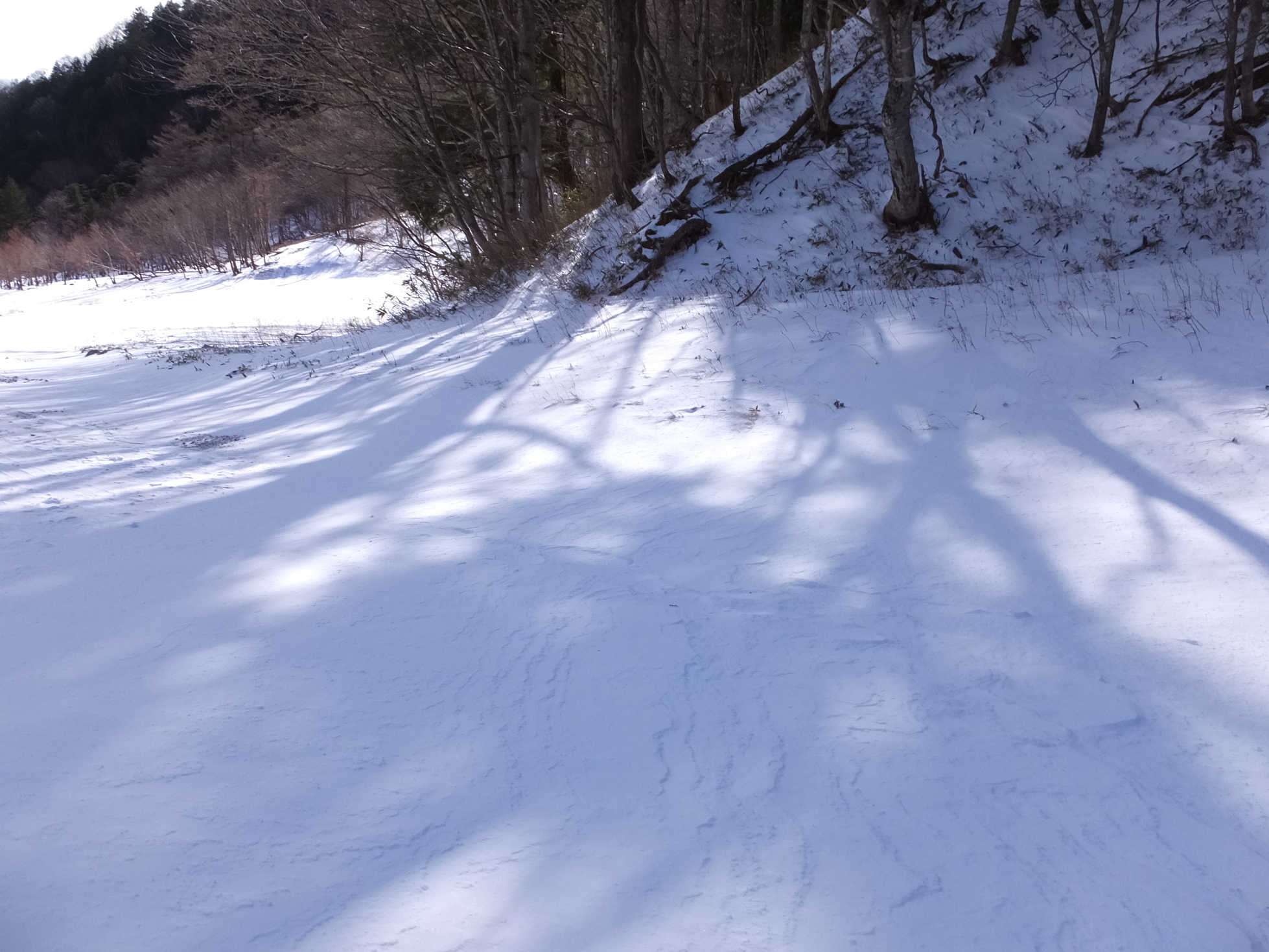 �R�����L