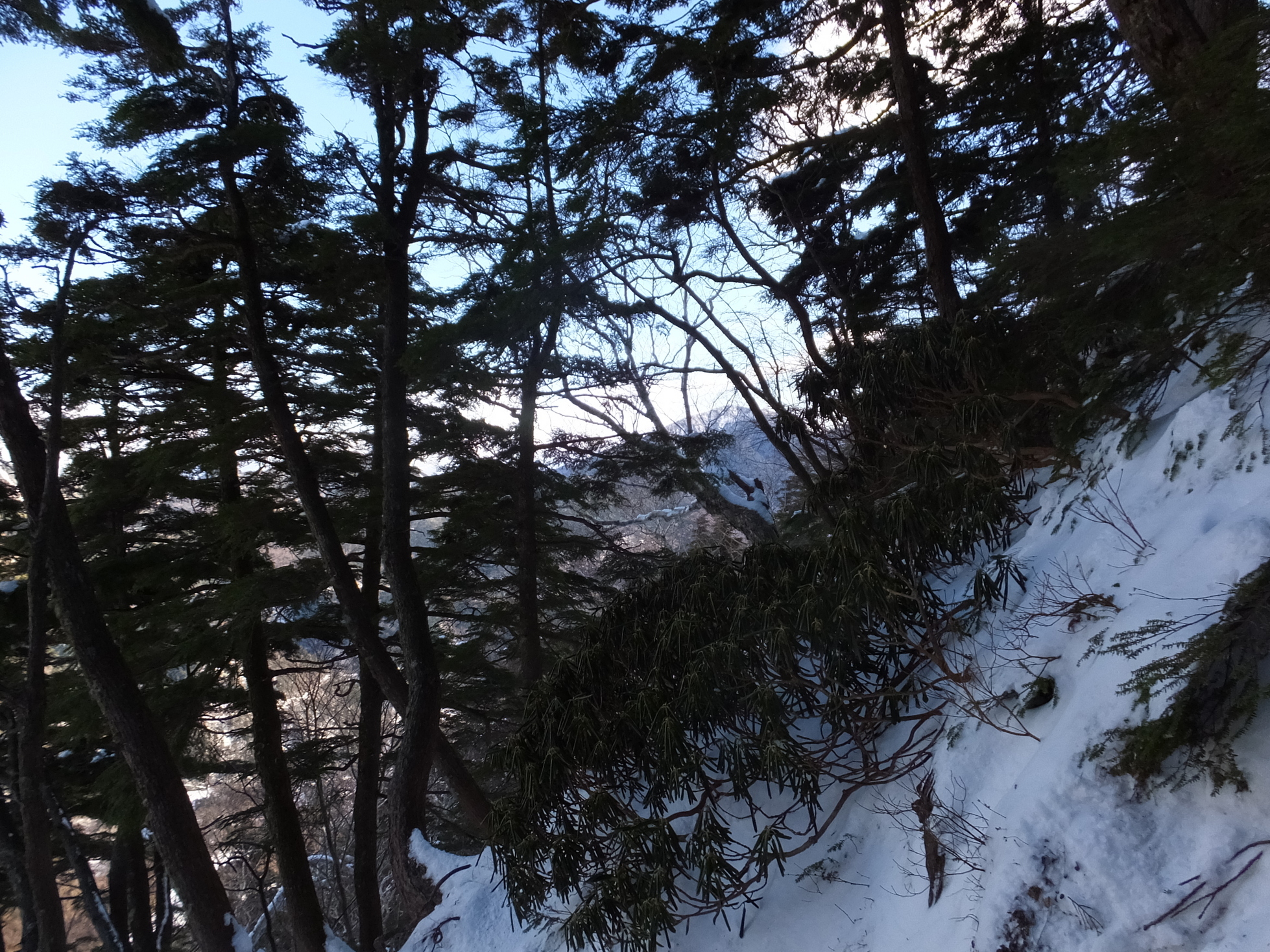 �R�����L