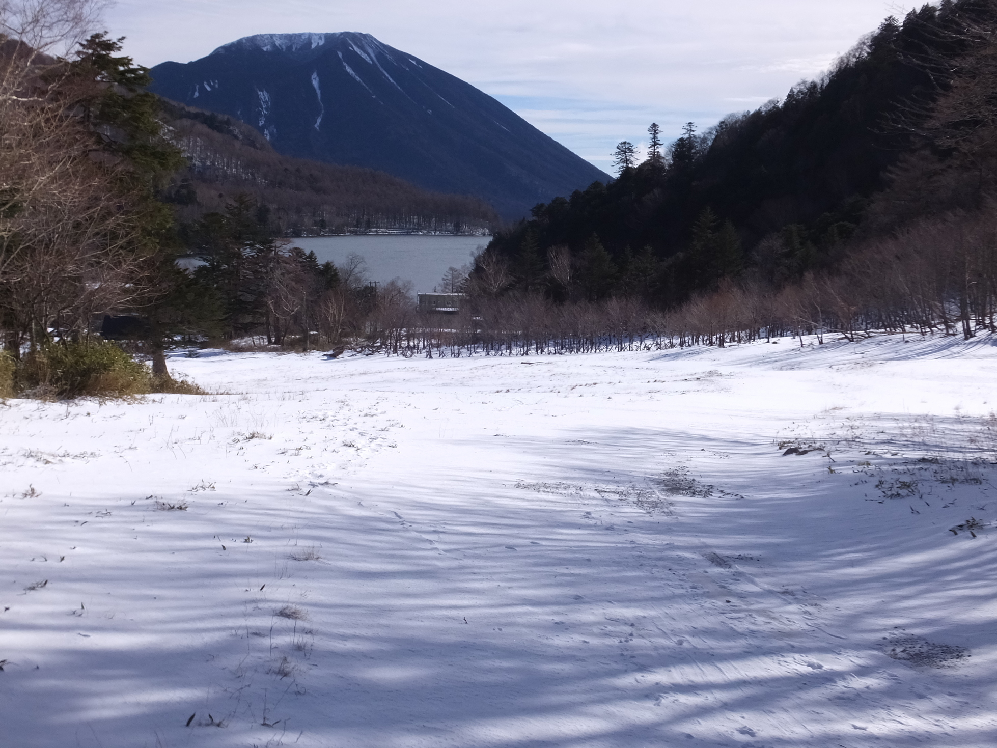 �R�����L