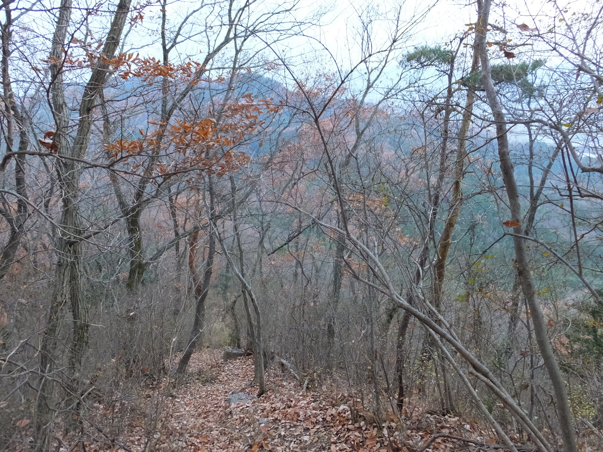 �R�����L