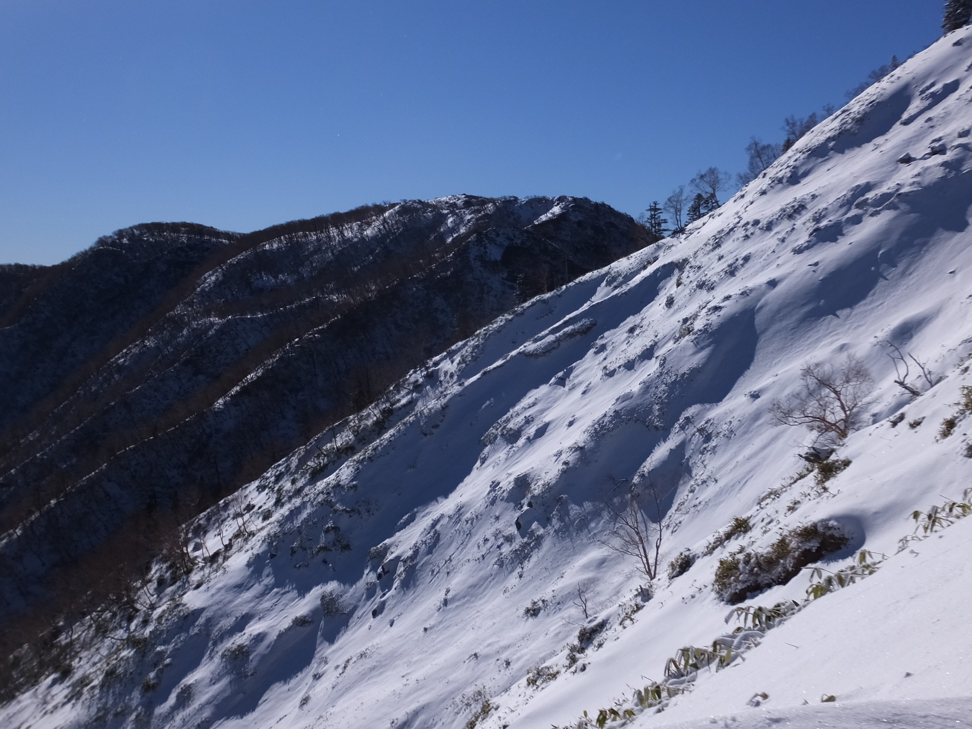 �R�����L