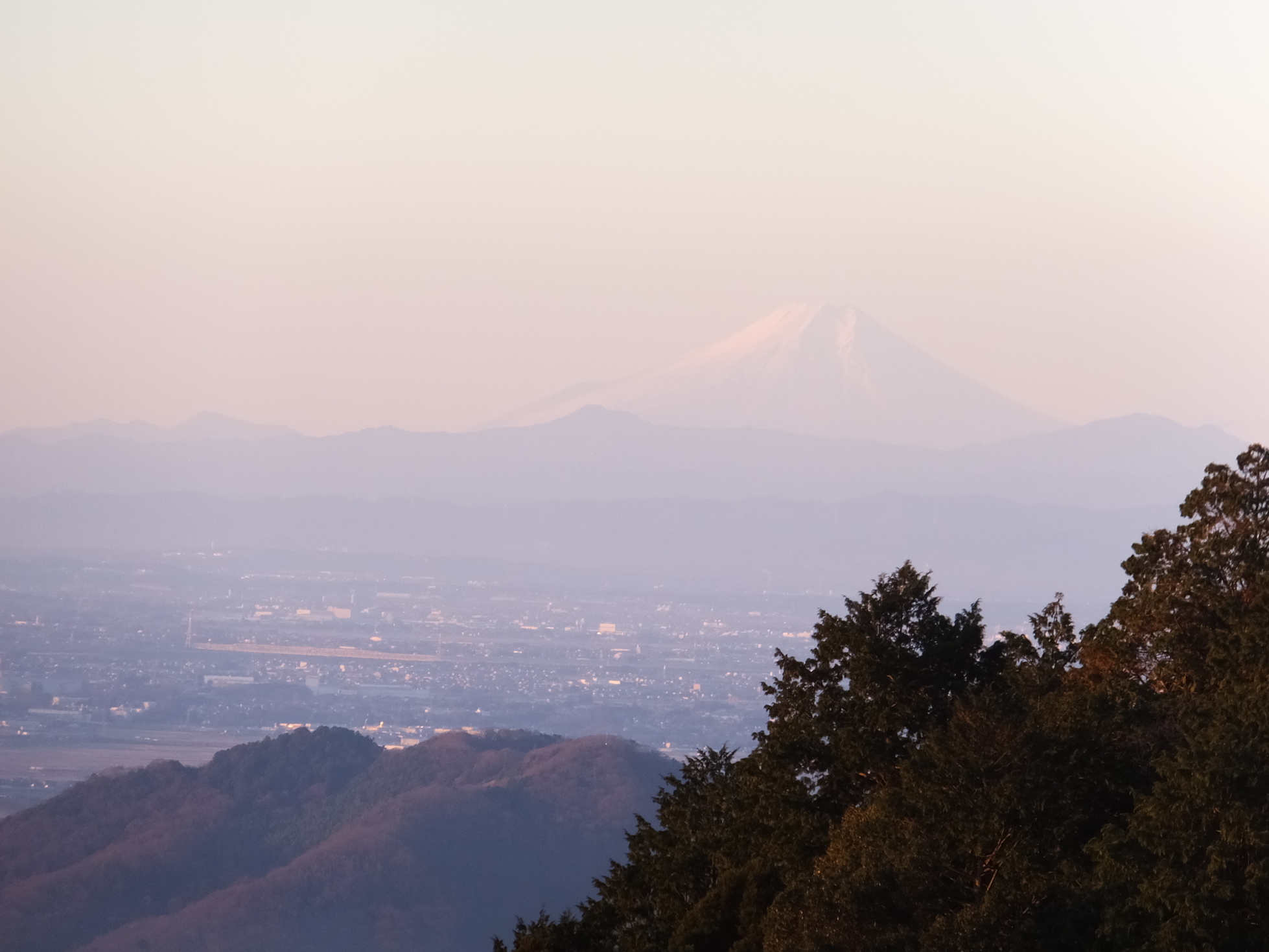 �R�����L