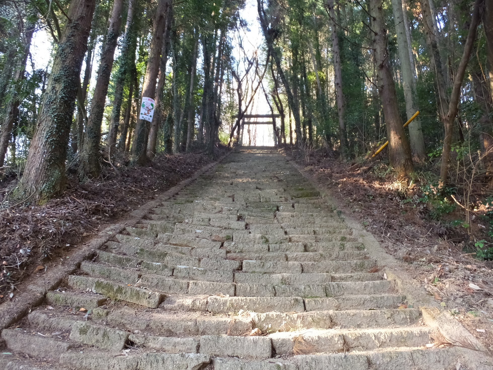 �R�����L