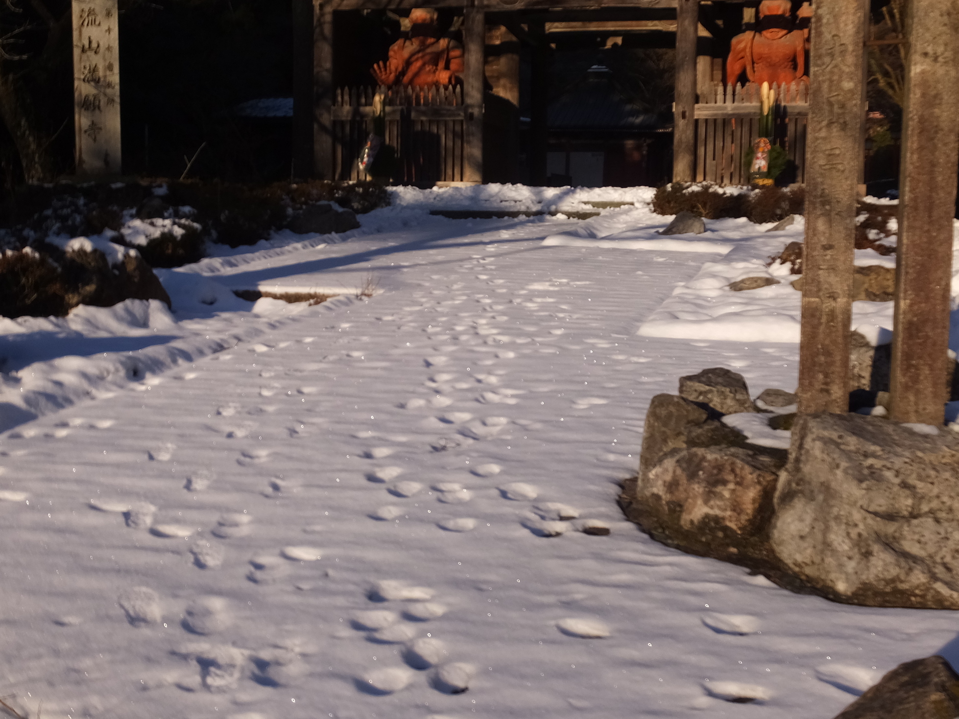 �R�����L