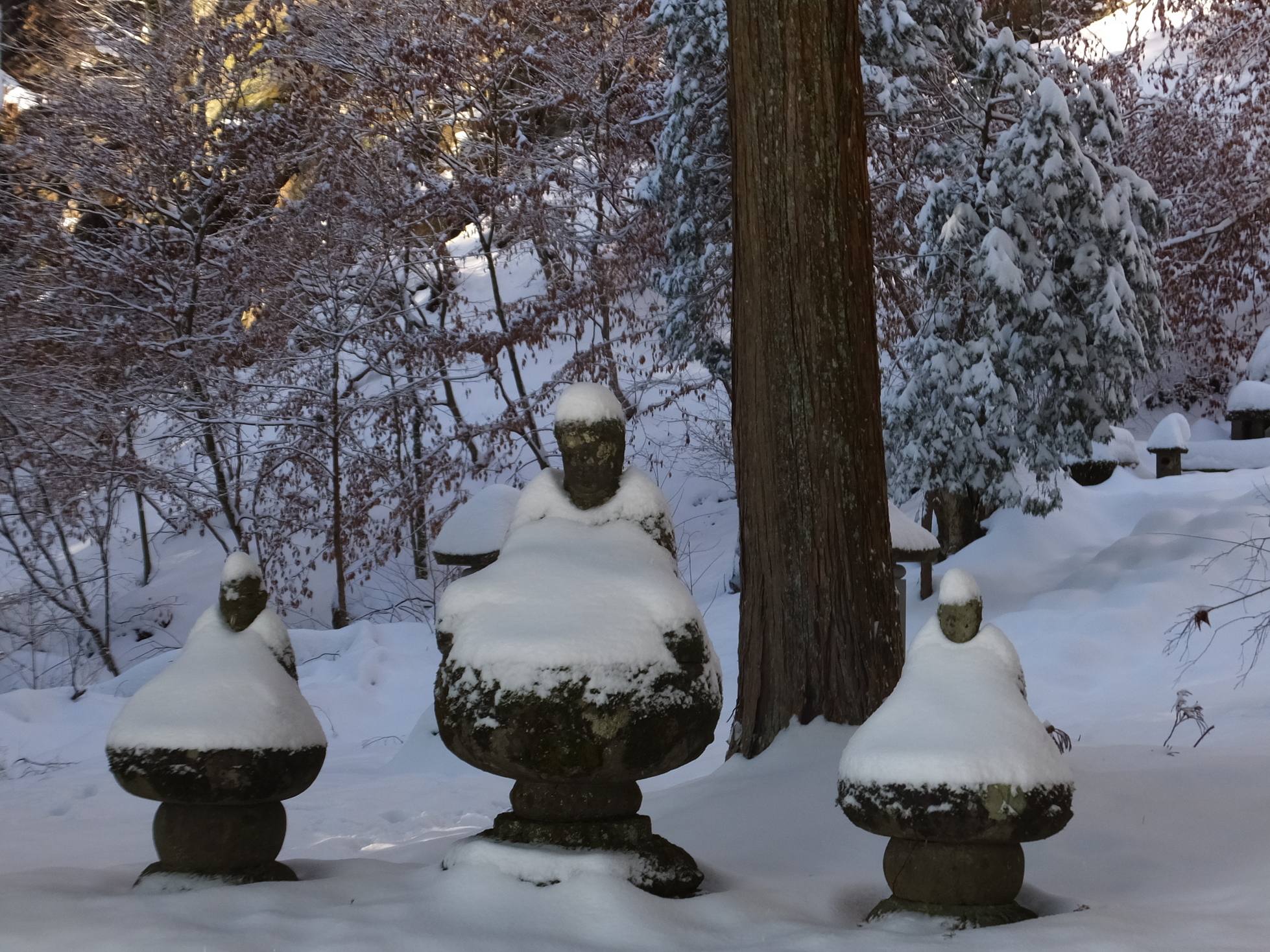 �R�����L