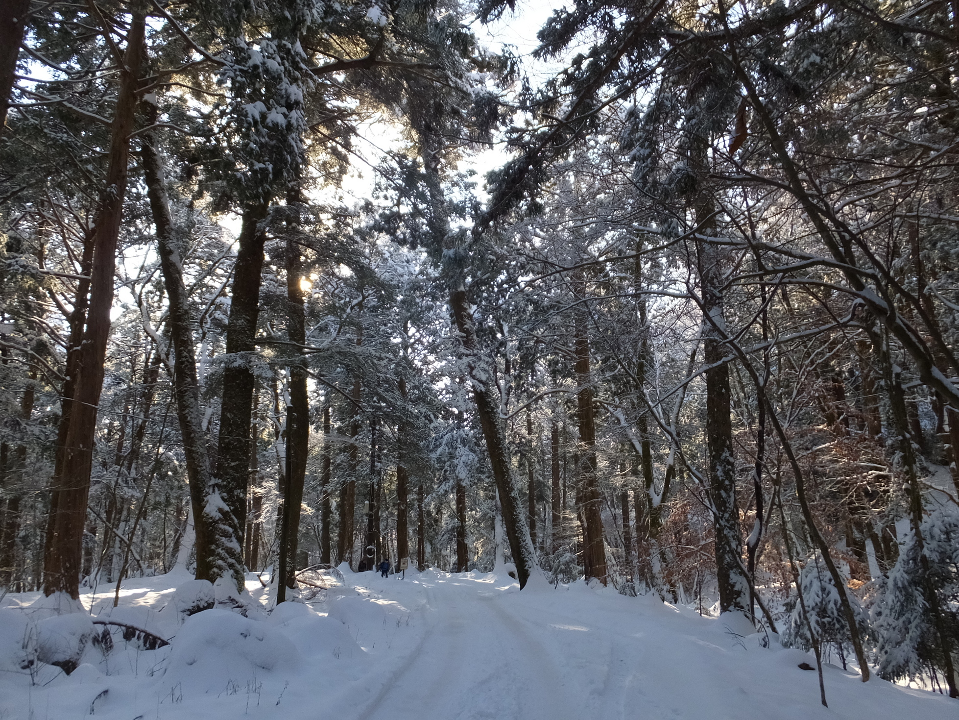 �R�����L